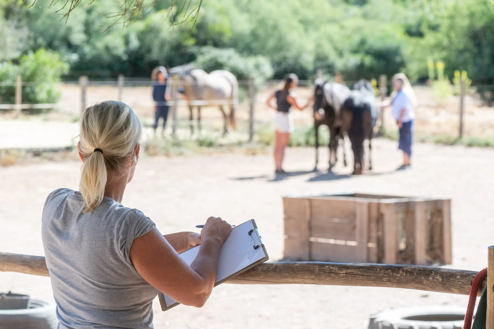 A woman with blonde hair styled in a ponytail is sitting outdoors at a table taking notes on a clipboard, with a blurred view of people near horses in the background.