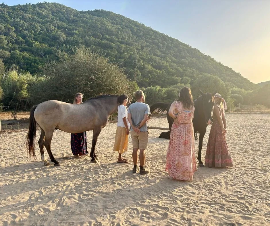 A group of six people and two horses on sandy ground with a mountain and trees in the background during sunset.