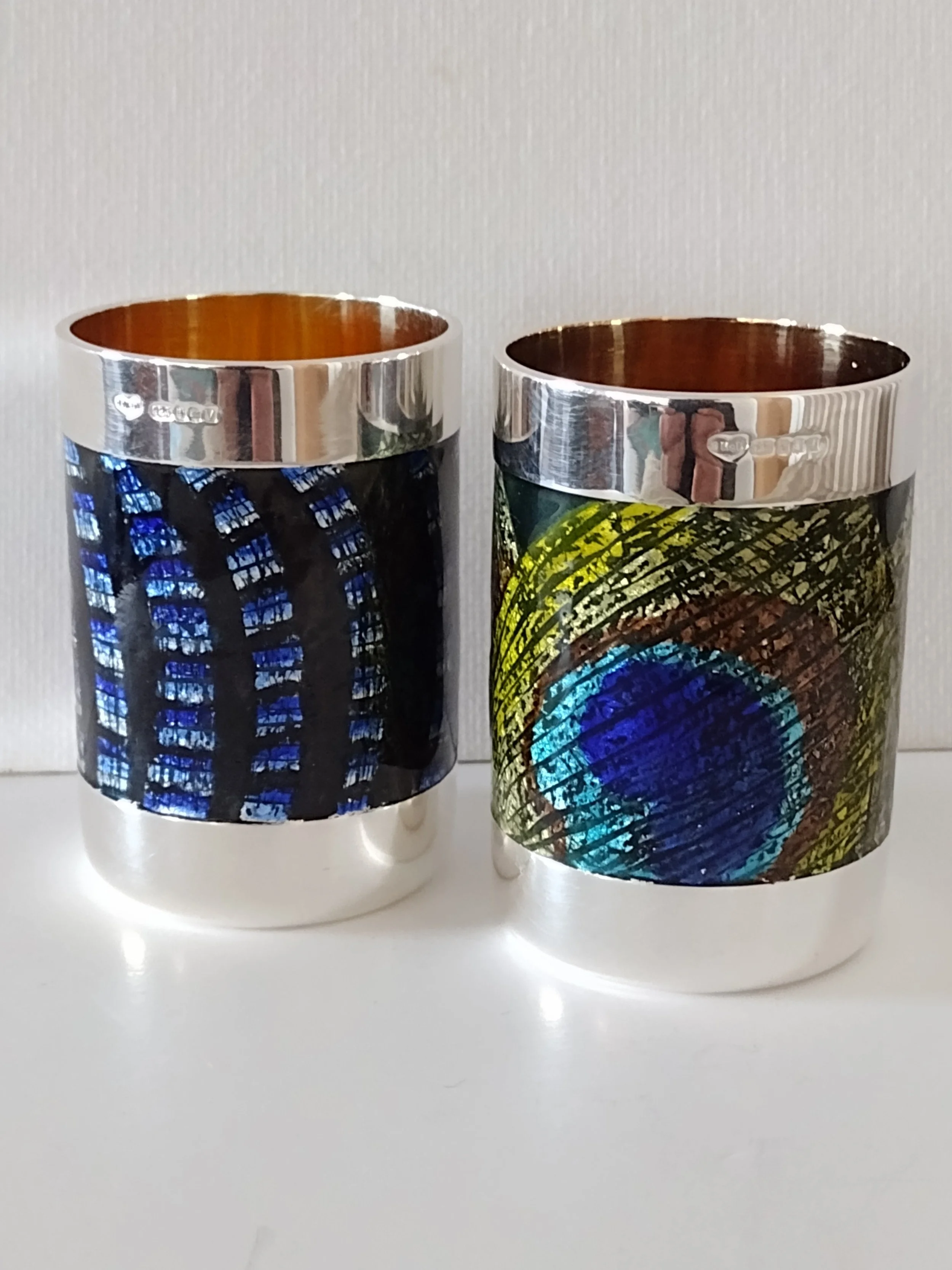 1.SMcD Peacock and Jay beakers.jpg