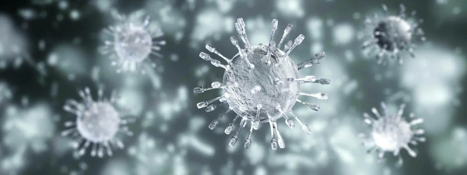 The Secret to Survival: Lessons from the Smallest Life Form