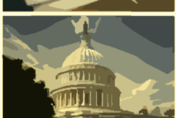 GOVERNMENT