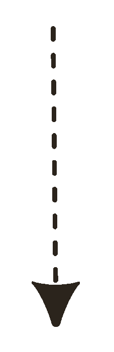 A vertical black arrow pointing downward with a dashed line in the middle.