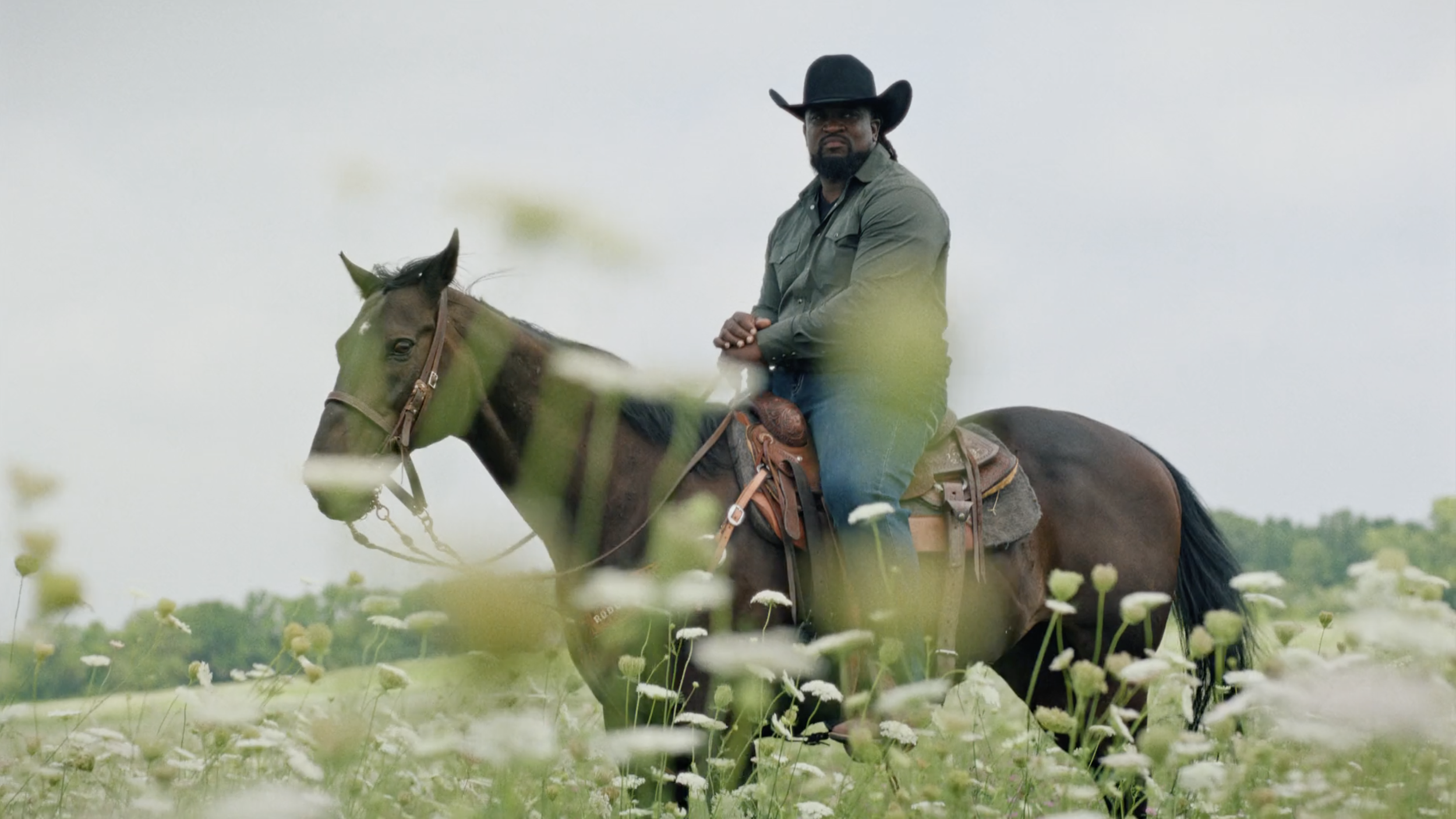 Ancestry USA