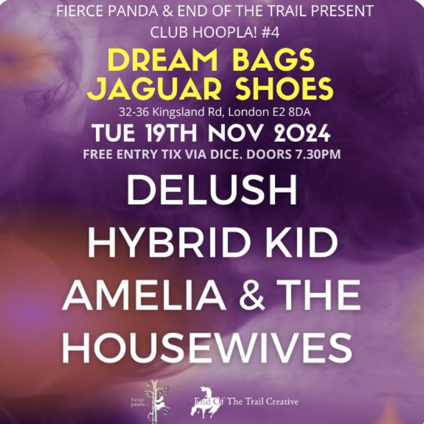 Event flyer for a music night at Club Hoopla, featuring bands Dream Bags Jaguar Shoes, Delush, Hybrid Kid, and Amelia & The Housewives on Tuesday, November 19th, 2024, at 32-36 Kingsland Road, London. Free entry via dice, doors open at 7:30 PM.