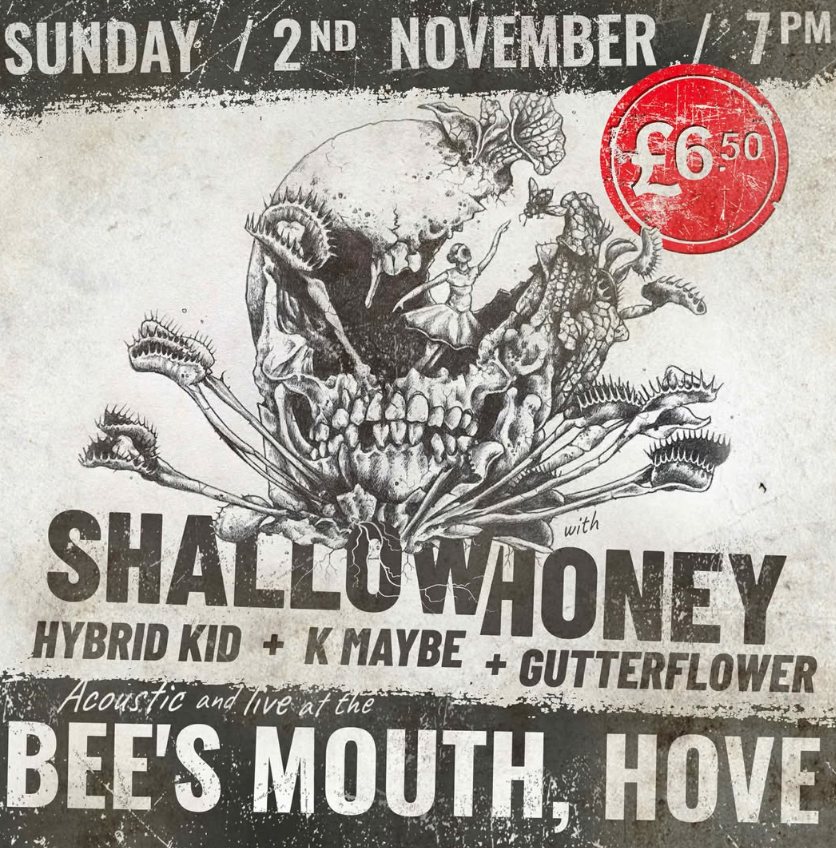 Shallow Honey, Hybrid Kid, K Maybe, and Gutterflower