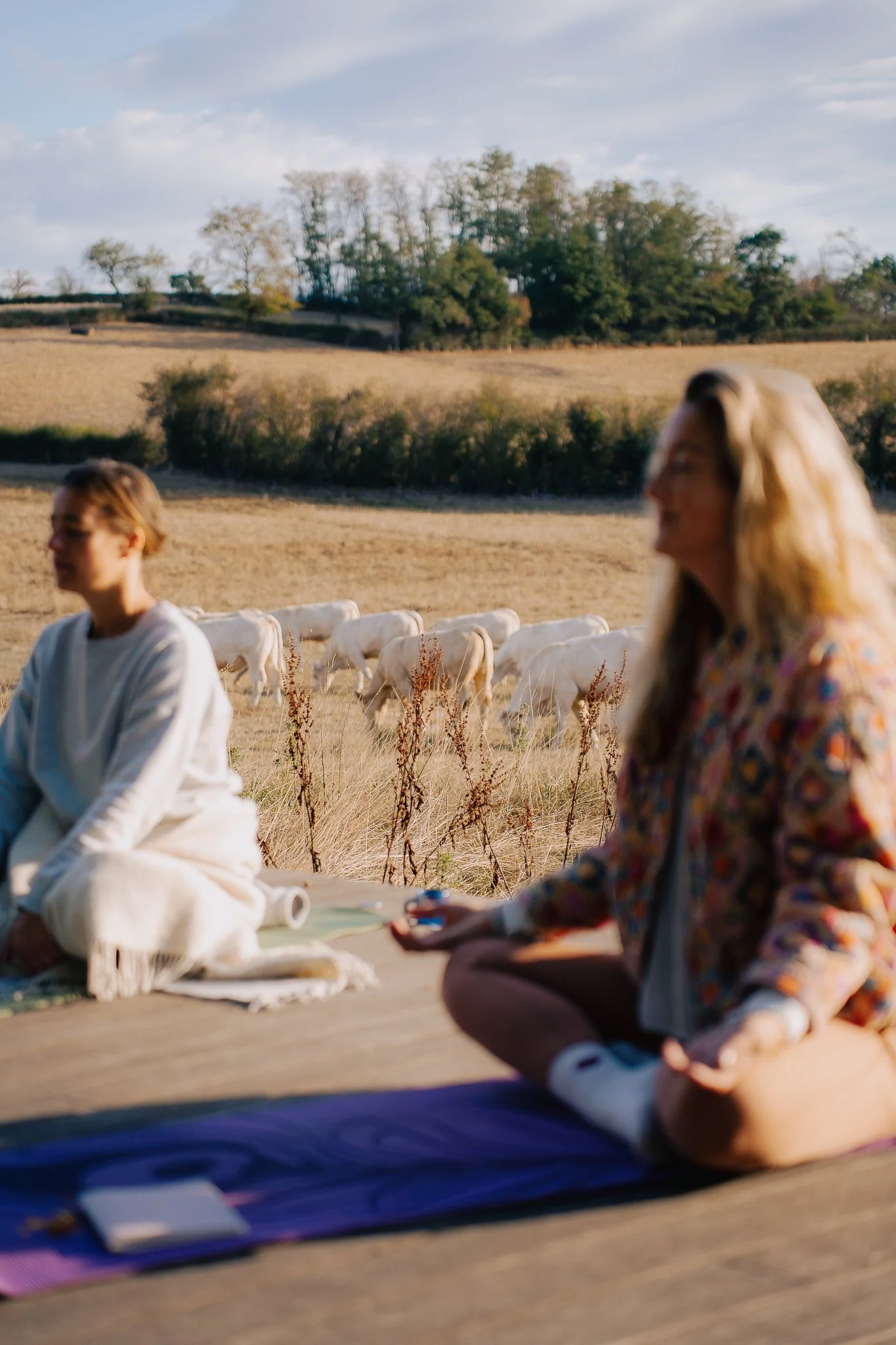 Sparklynn Yoga Retreat