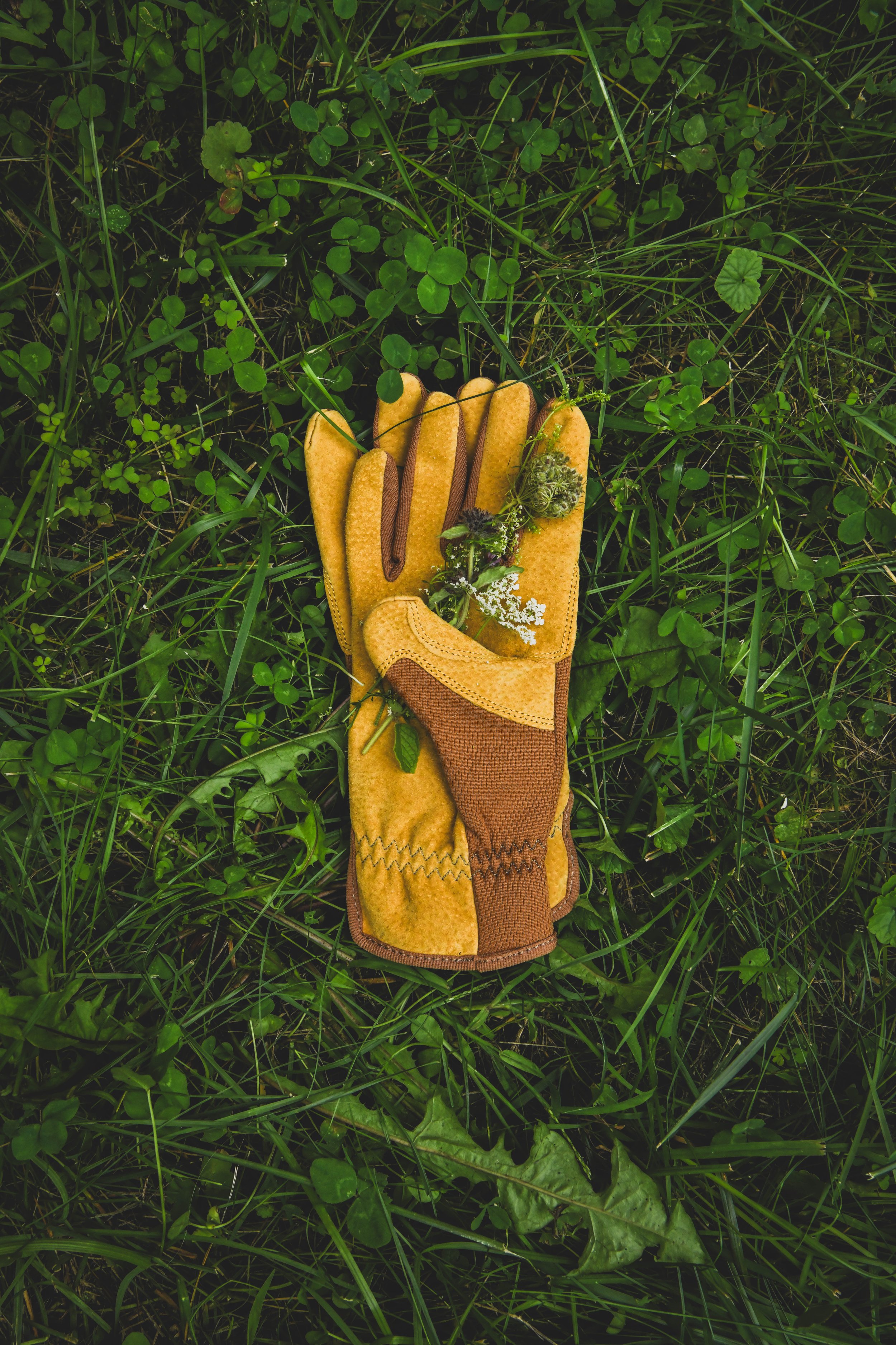 Yellow gardening gloves with a small bouquet of white and purple flowers resting on top, lying on green grass with small clover leaves.