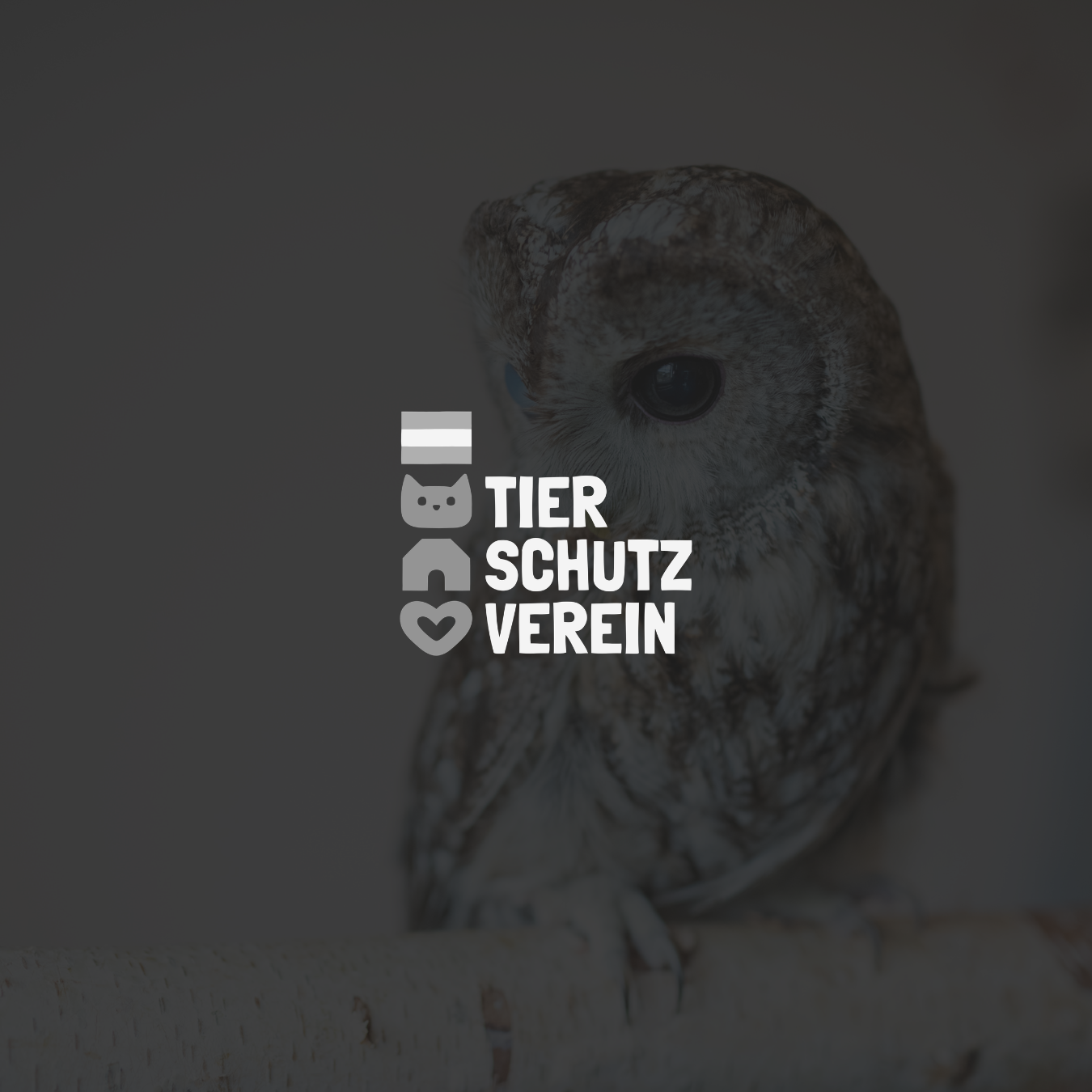 Logo des Tierschutzvereins mit einem Eulenbild im Hintergrund.