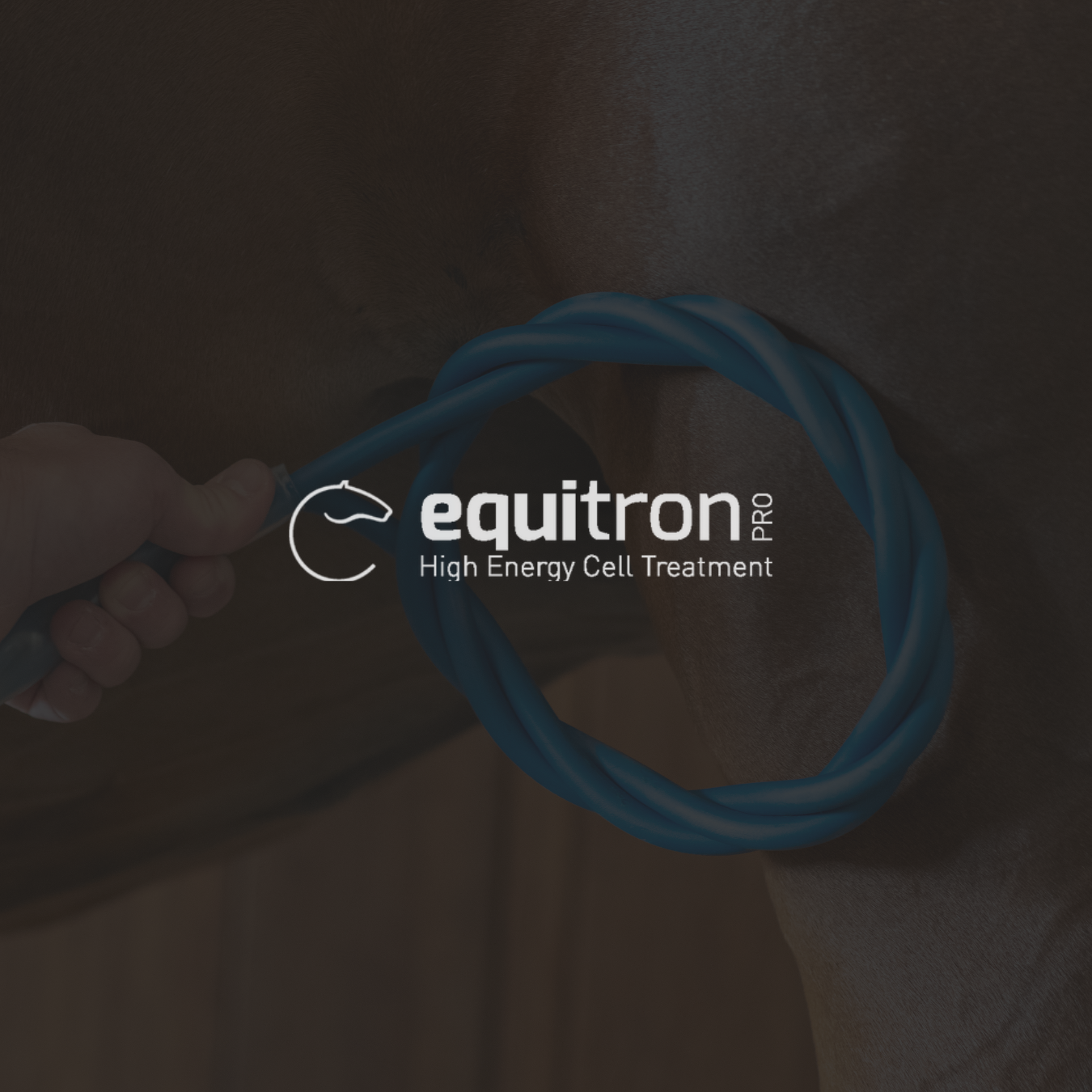 Ein Hand hält ein bläuliches Kabel, das in eine Person eingeführt wird. Das Bild zeigt das Logo und die Beschreibung 'equtron PRO High Energy Cell Treatment'.