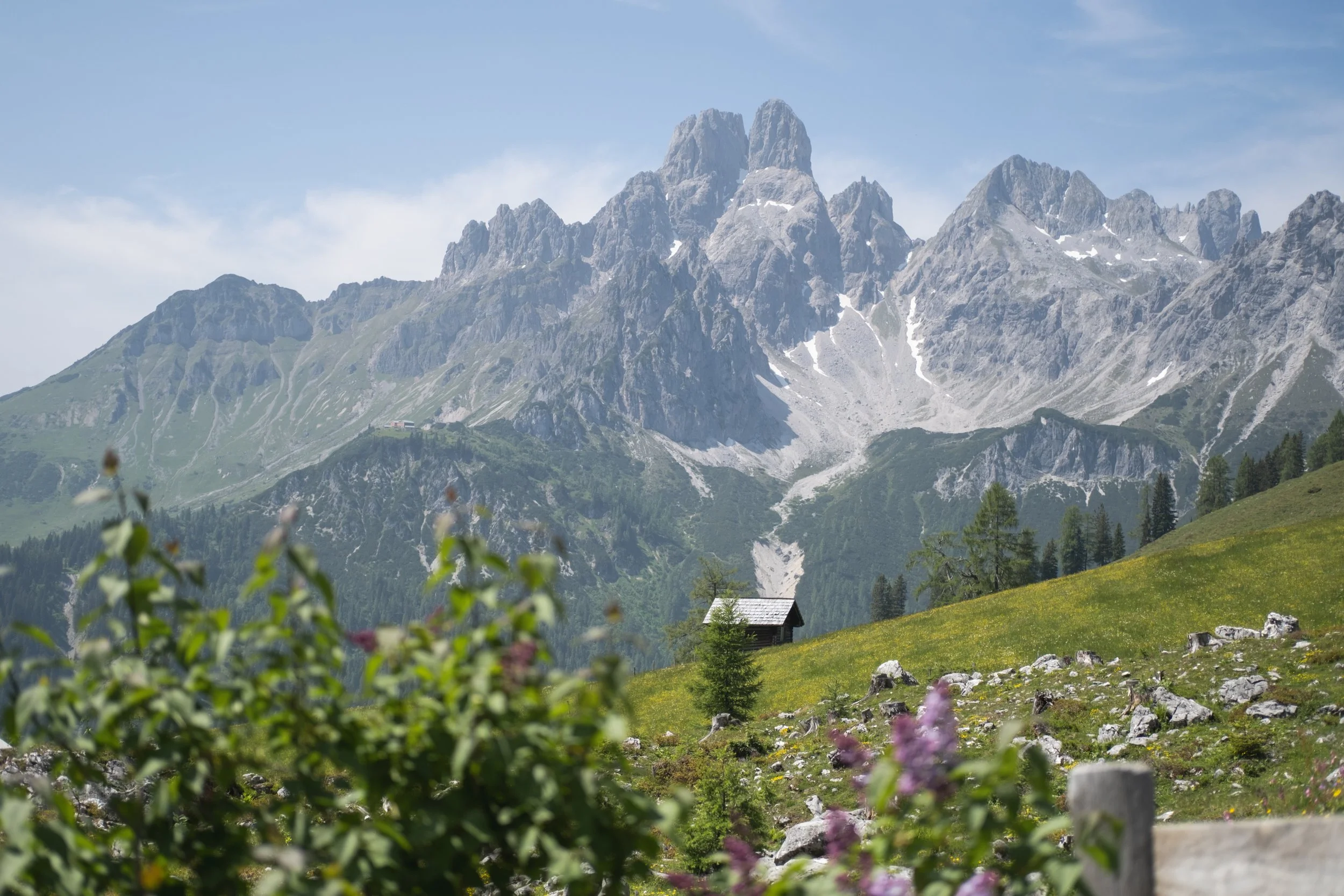 Bergmassiv in den Alpen mit grünen Wiesen im Vordergrund, kleine Hütten und Blumen, blauer Himmel mit wenigen Wolken.