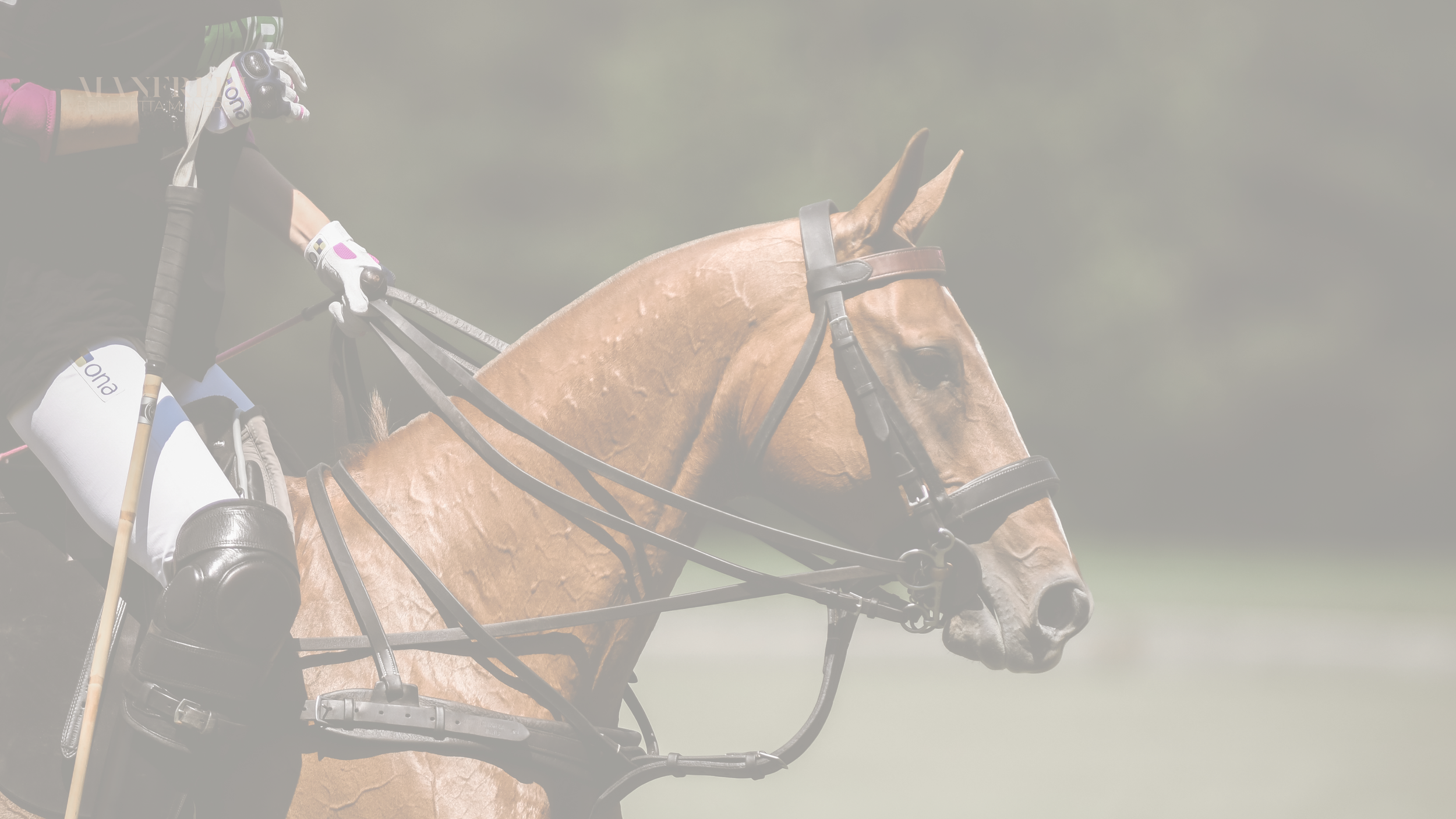 Reiter trägt einen Helm und Handschuhe, reitet ein Pferd über Hindernisse im Springreiten.