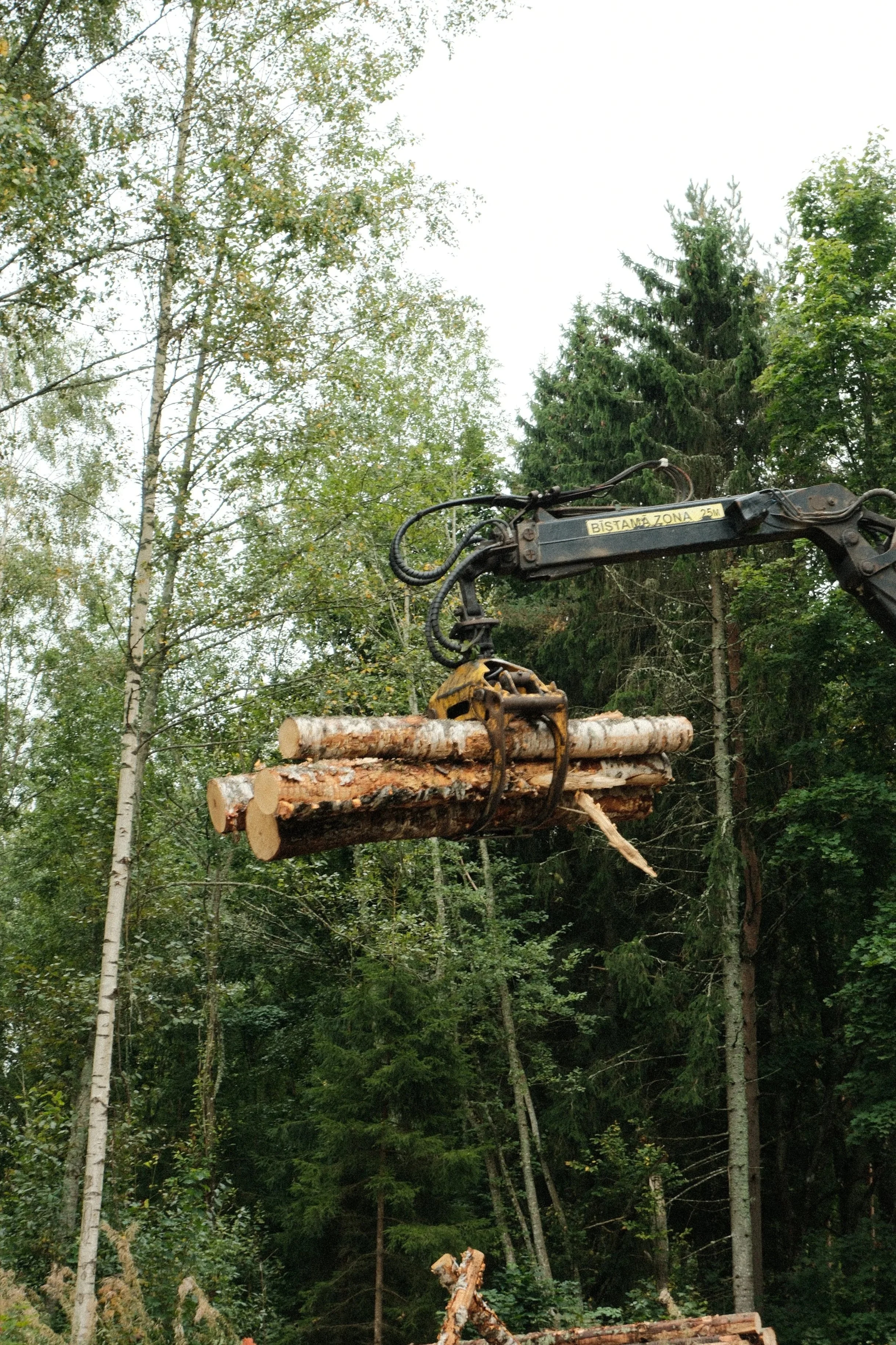 Construction machinery lifting logs in a forested area.