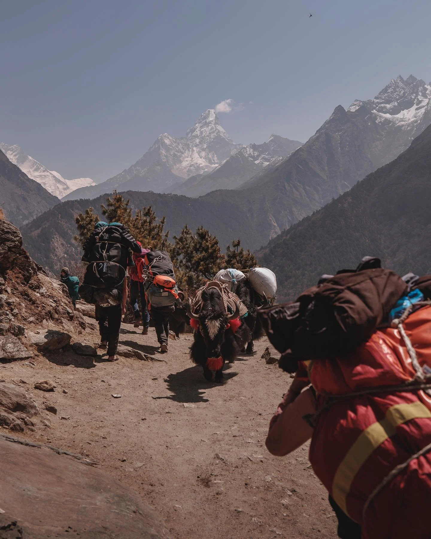 The busy route to Everest Base Camp!

I took this whilst on one of the most stunning treks I have ever been on! The route to EBC is literally #Breathtaking not only due to the altitude but also due to the incredible landscape you are surrounded by!

