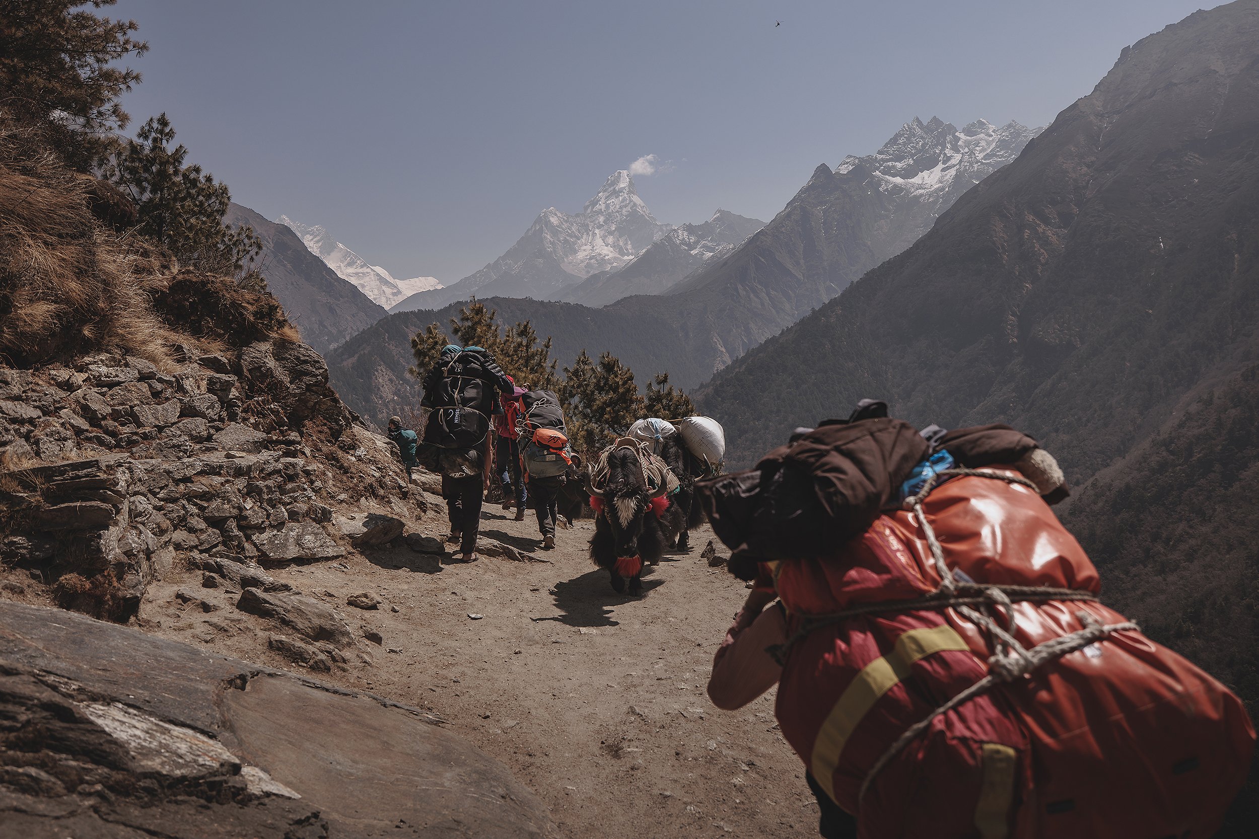 The Lifeline | Everest Base Camp Trail