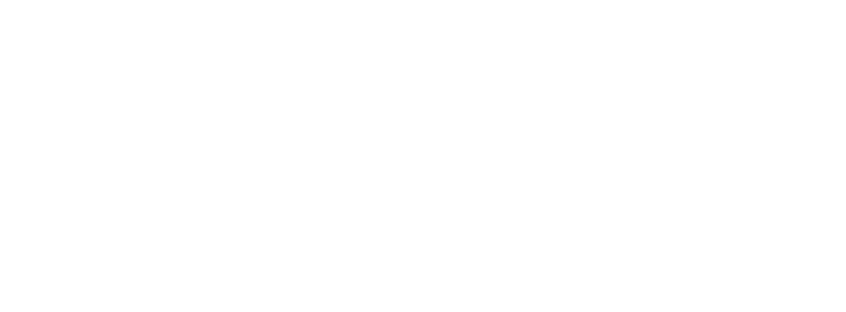 Your Strategic Finance Partner - The Swedish Concept