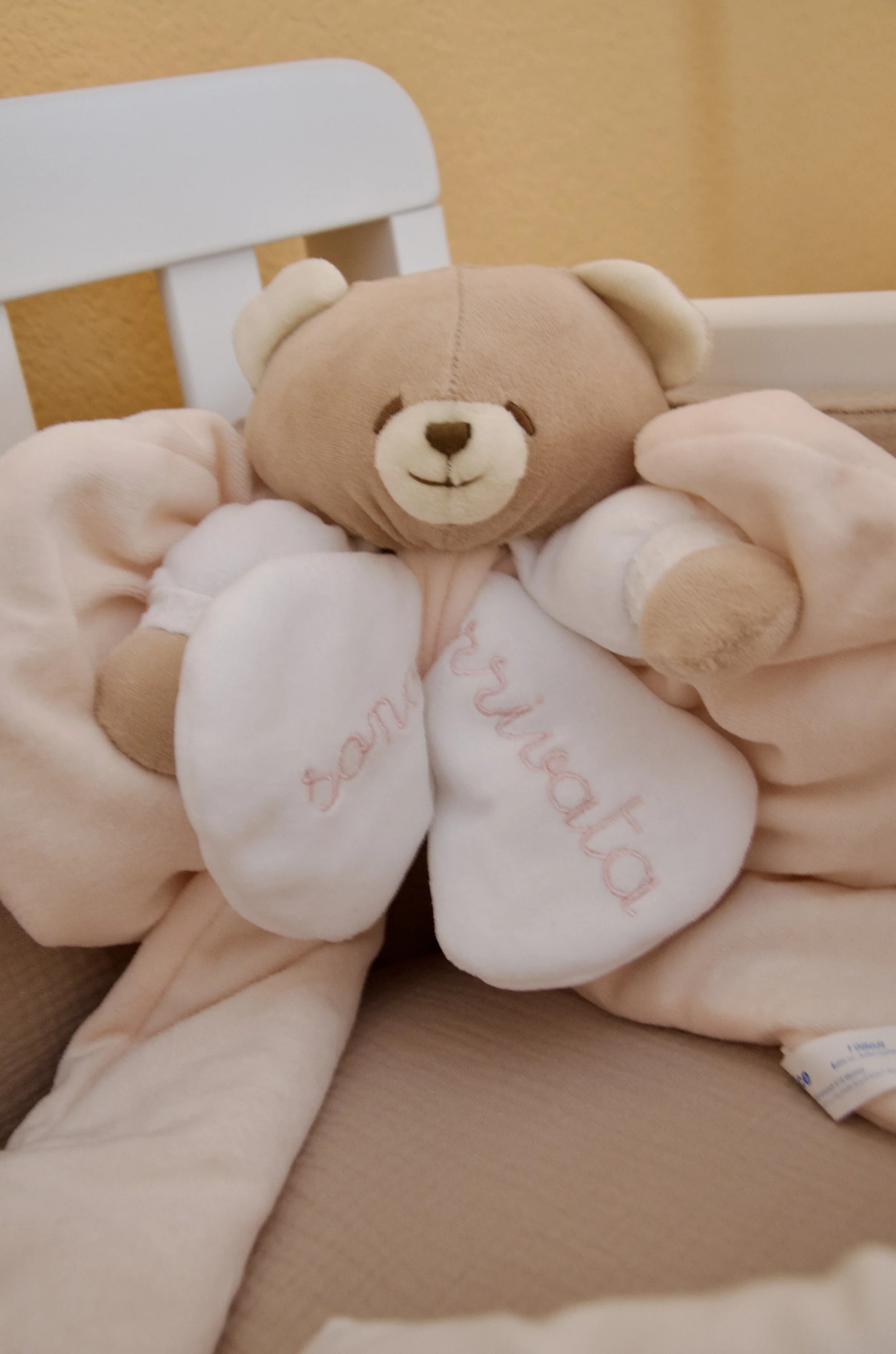 A plush teddy bear with a smiling face, being held with a gloved hand. The teddy bear is in front of a yellow wall and is sitting on a pink blanket with embroidered writing.