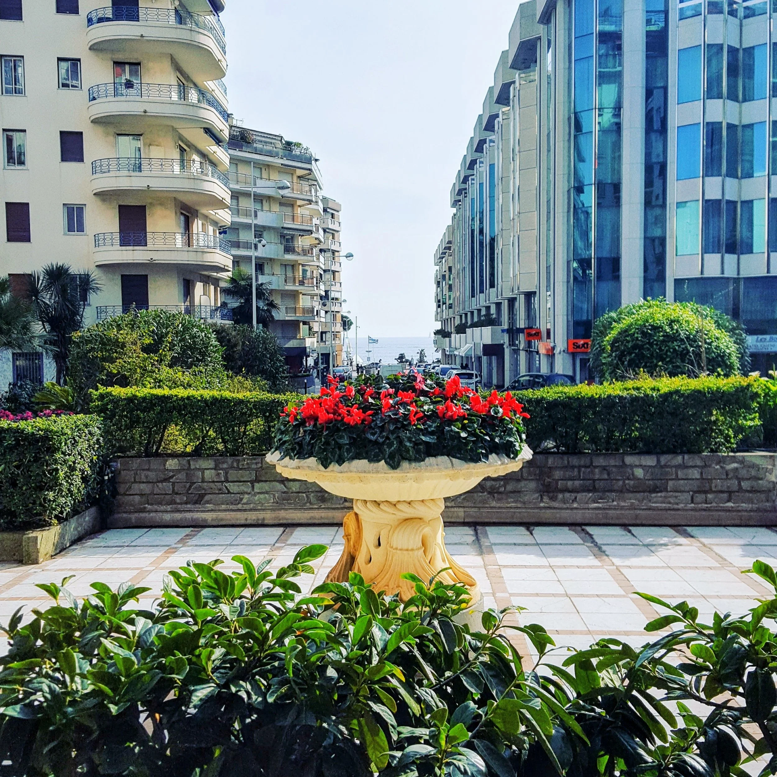 A view between two modern buildings with a garden in the foreground, featuring green plants and red flowers, and a street with parked cars. The building on the left is beige with balconies, and the building on the right has reflective blue glass wind