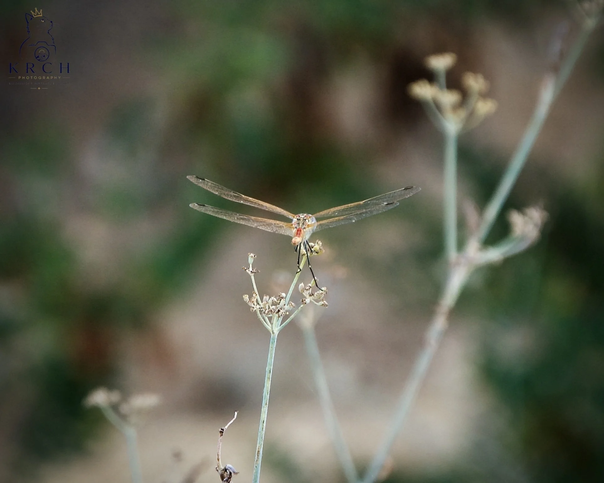 📷 Learn Photography Basics & Tour