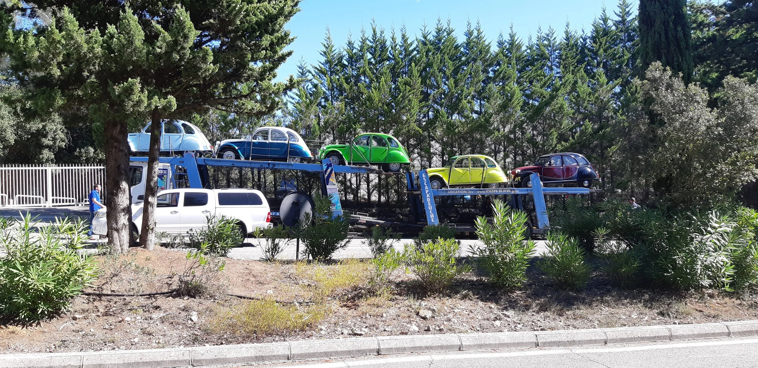 A truck transporting five vintage Citroën 2CV cars, painted in different colors: blue, black, green, yellow, and maroon, parked among trees with a person nearby and a white van in the foreground.