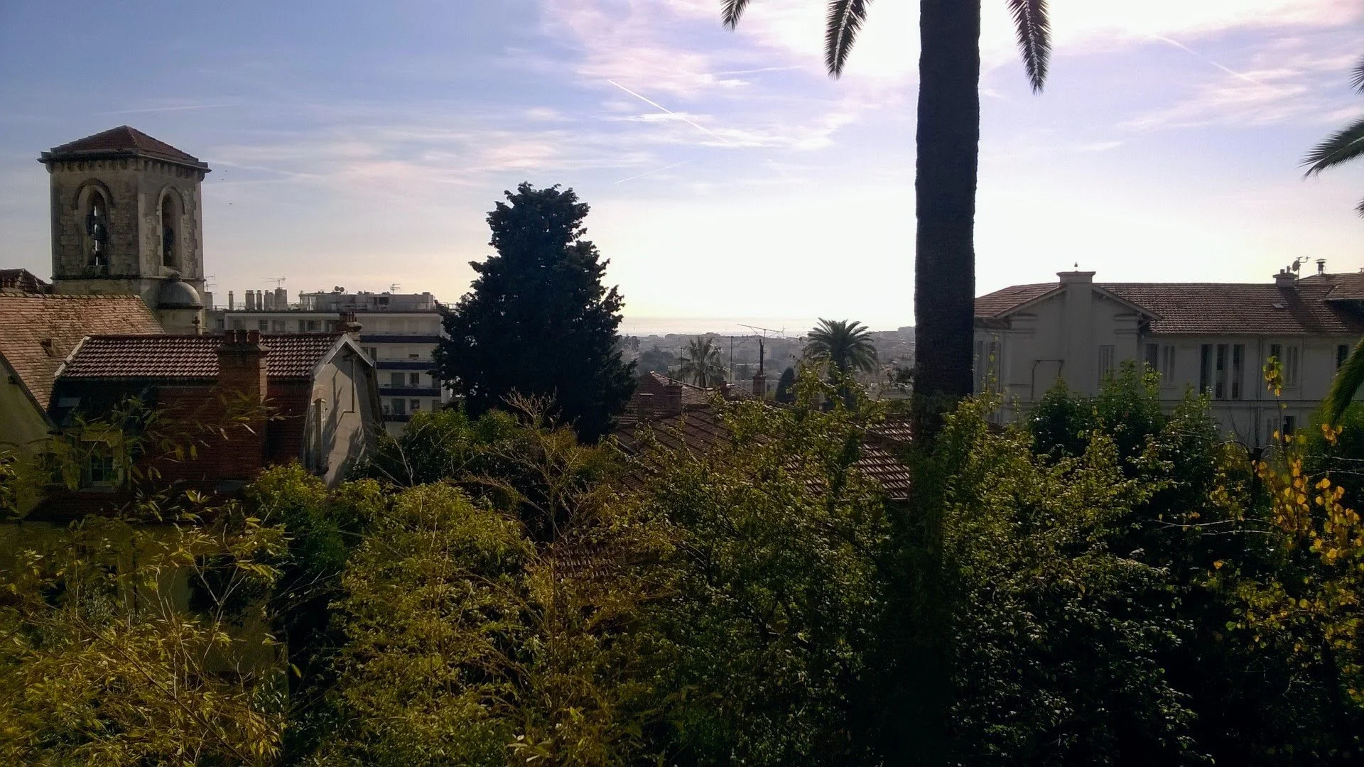 View of a residential neighborhood with houses, palm trees, and a church tower, under a partly cloudy sky.
