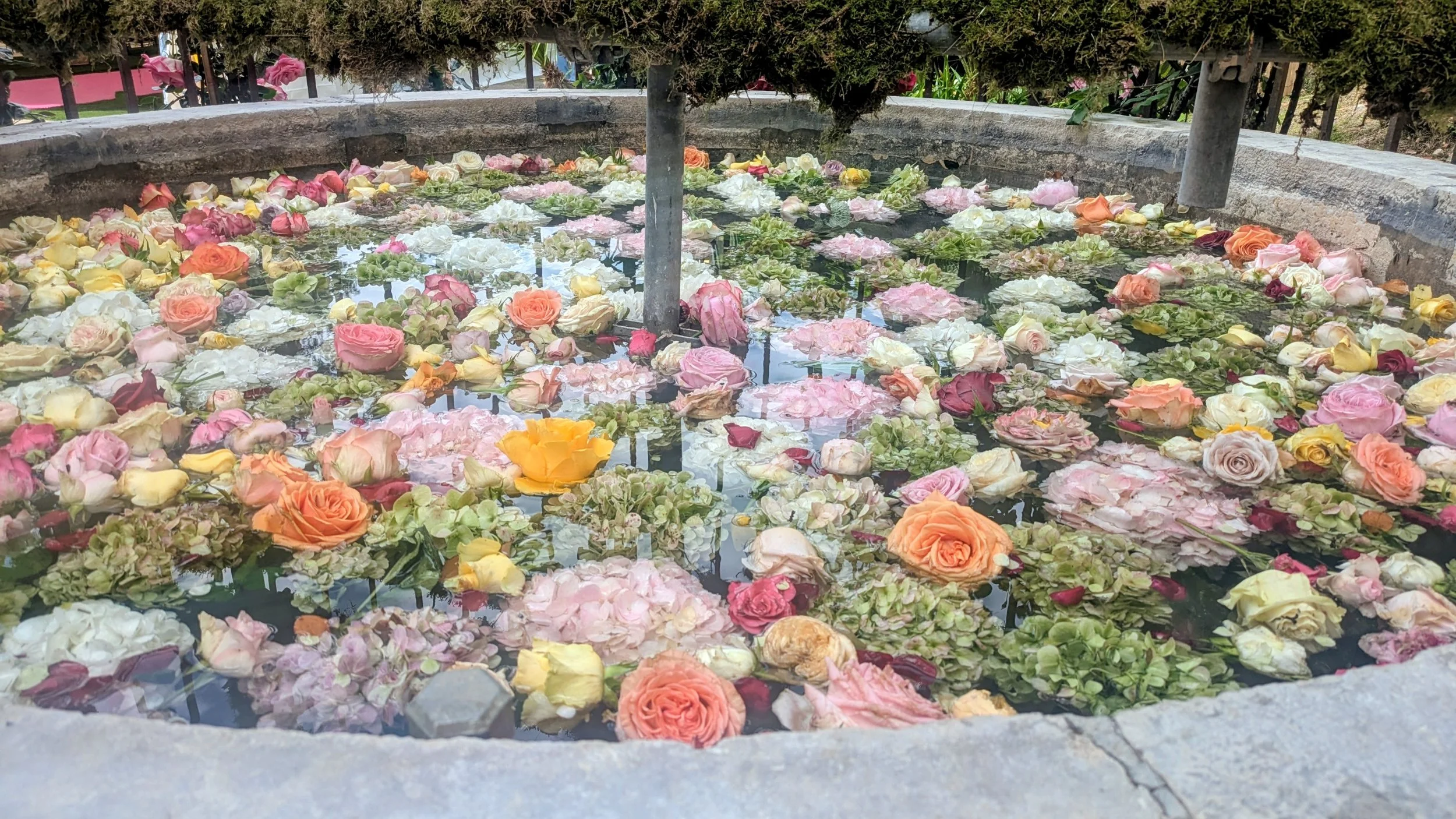 A round stone or concrete water fountain filled with floating flower petals and roses in various colors including pink, white, yellow, and orange.