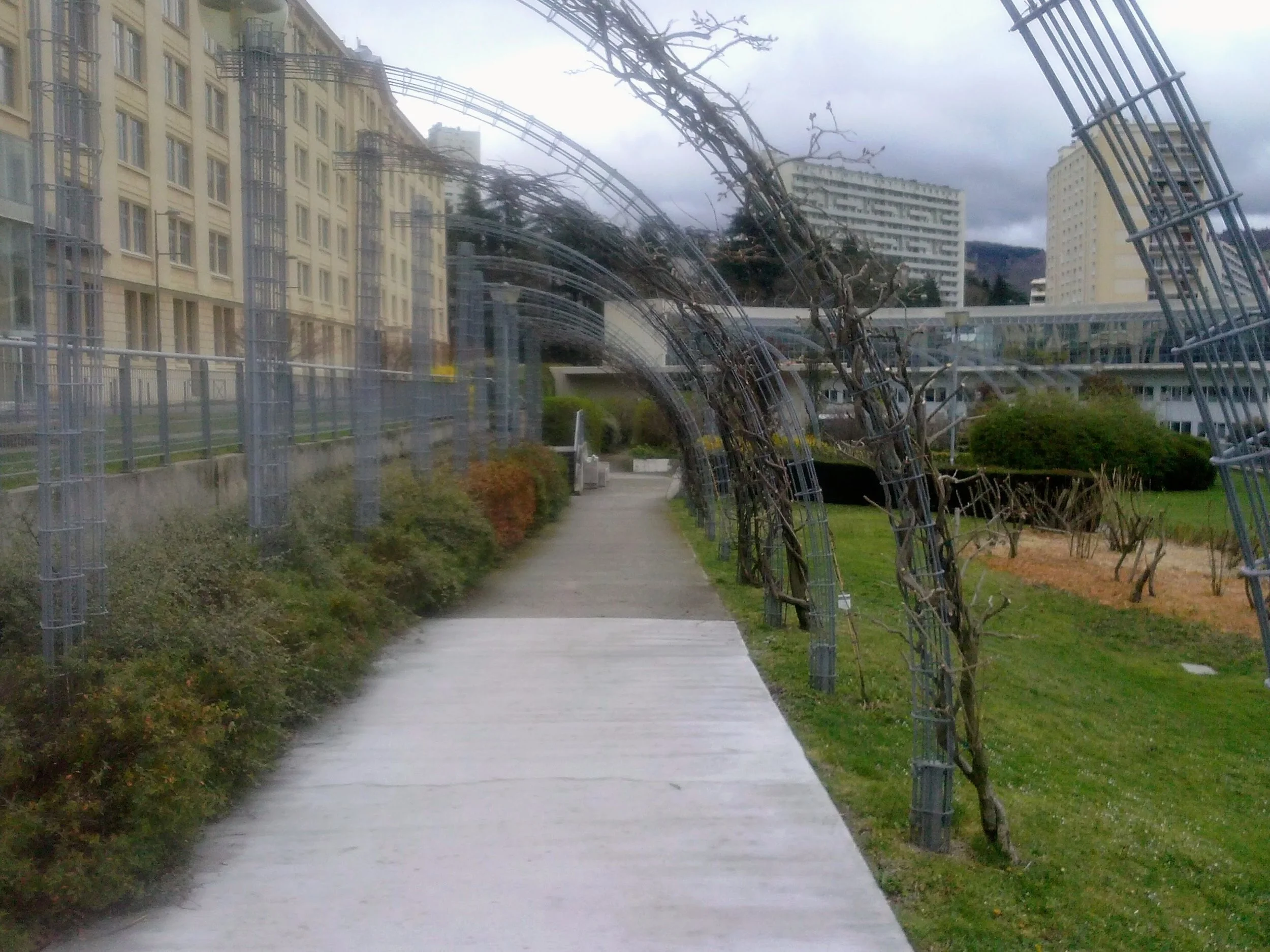 A pathway through a park with metal sculptures of trees on the sides, with buildings and cloudy sky in the background.