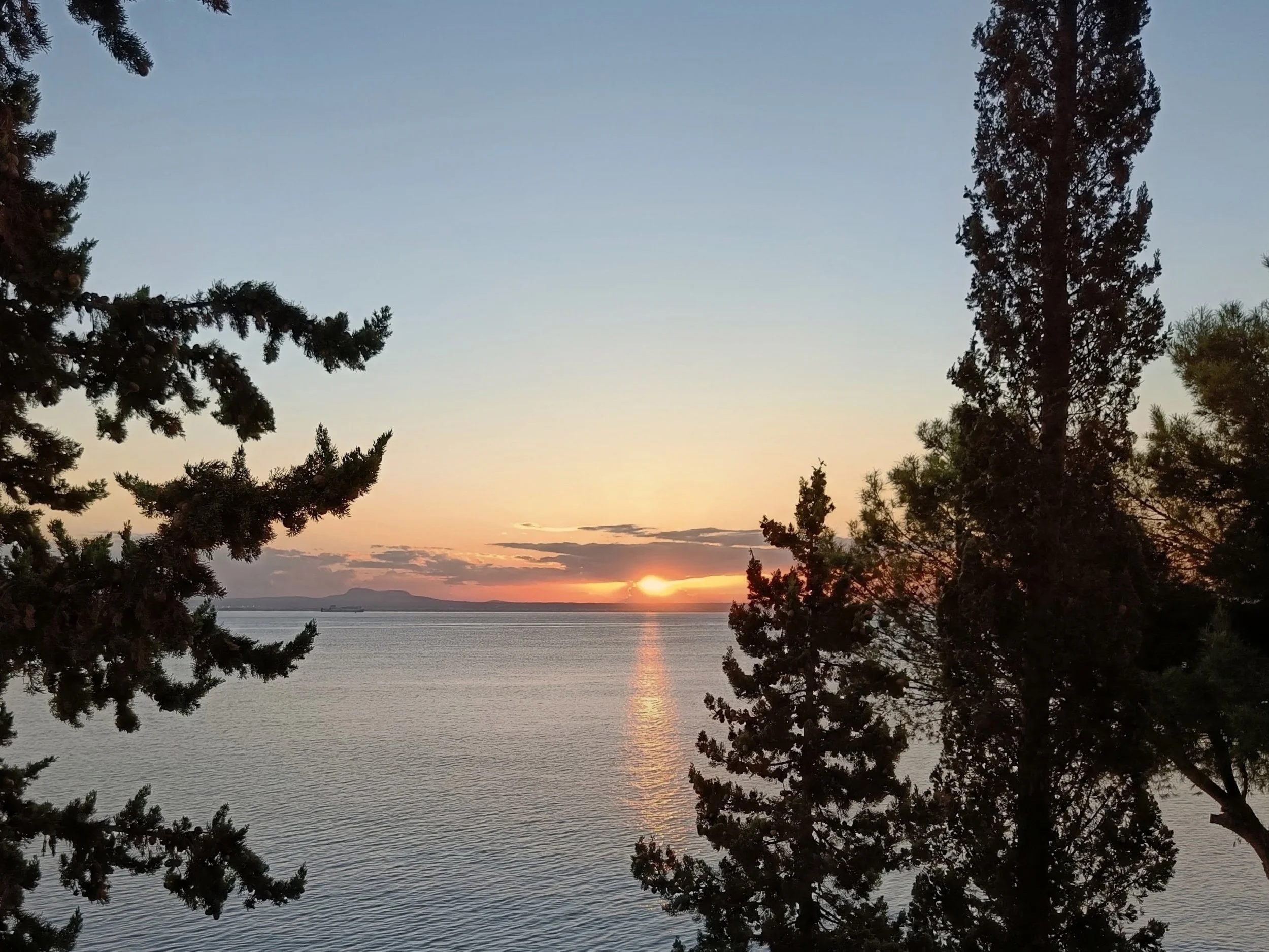Sunset over a body of water with trees in the foreground.