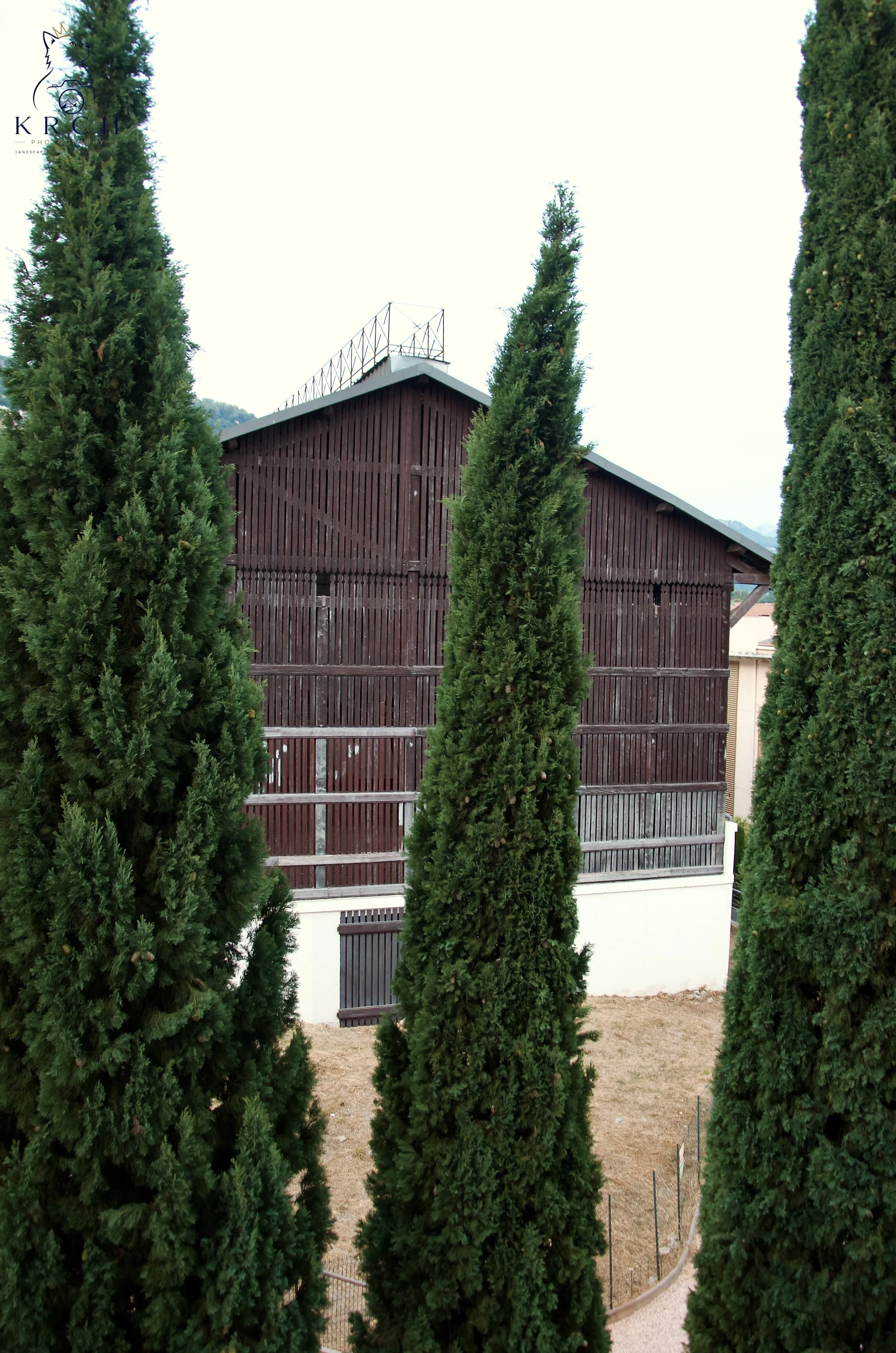 A wooden barn or shed with a metal roof, seen through tall, green, narrow cypress trees in a landscaped outdoor setting.