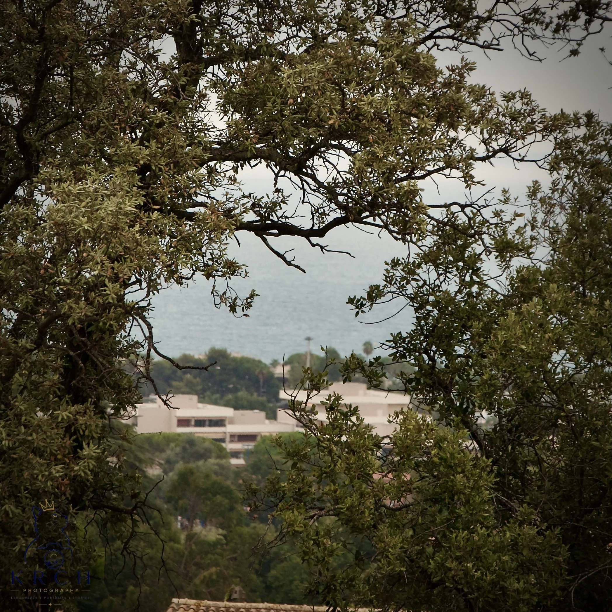 Tree branches with green leaves overlooking a town or city with buildings and trees in the background, overcast sky.