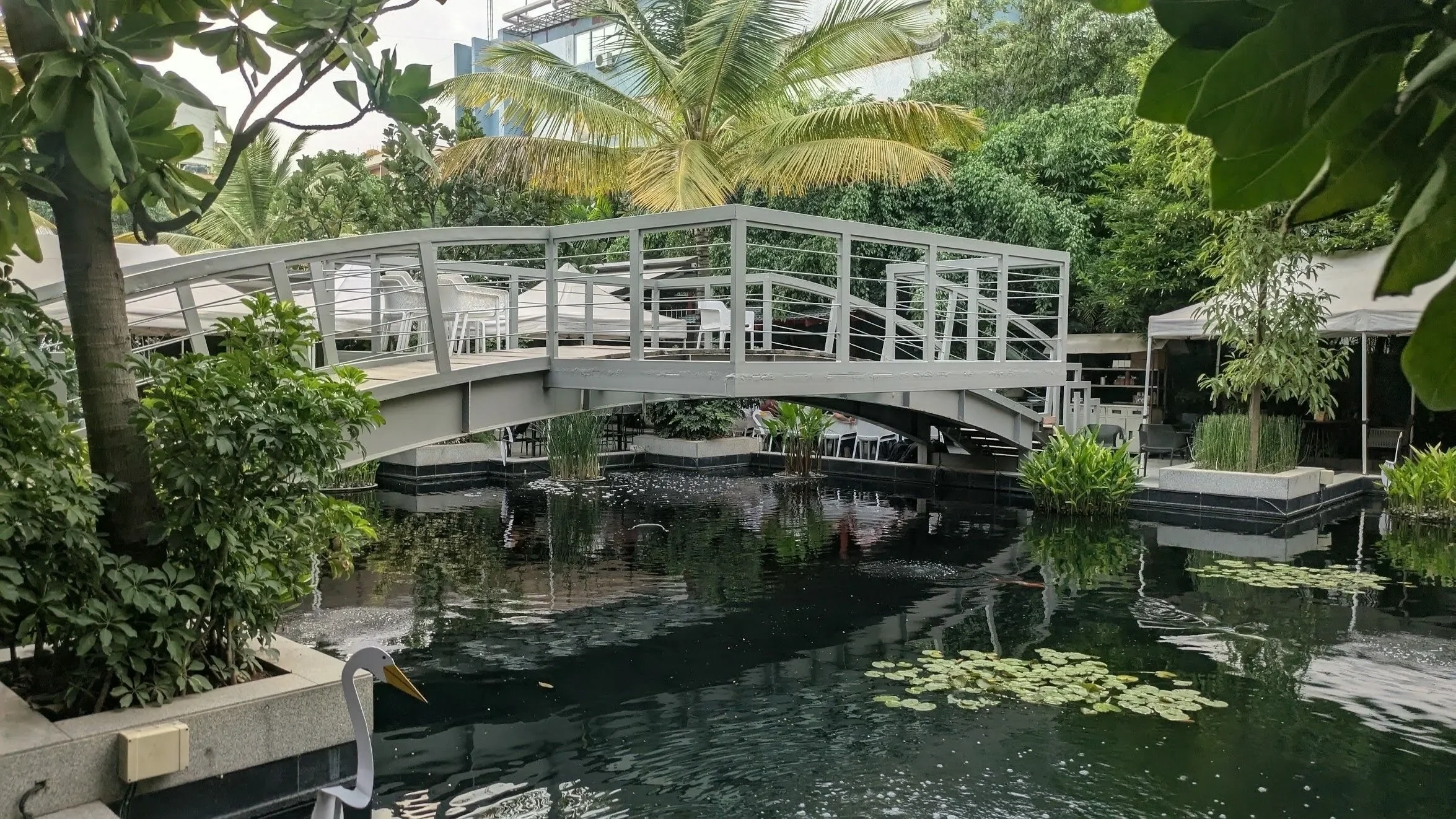 A landscaped area with a pond, a white arched footbridge, and surrounding lush greenery with trees and shrubs.