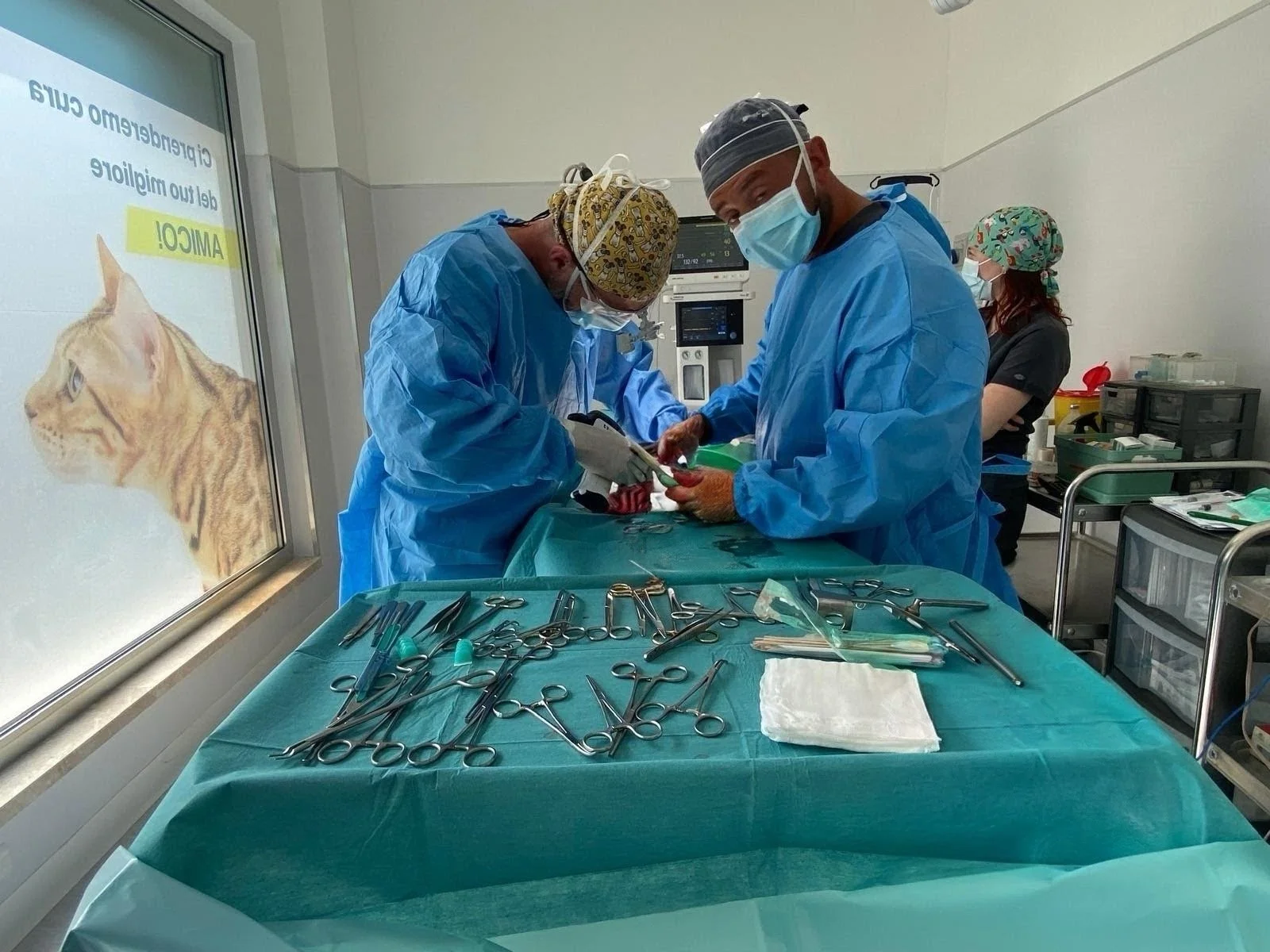 Veterinari che operano un animale durante un intervento chirurgico in una clinica veterinaria. La scena mostra strumenti chirurgici disposti sul tavolo e personale medico in mascherina e camice.