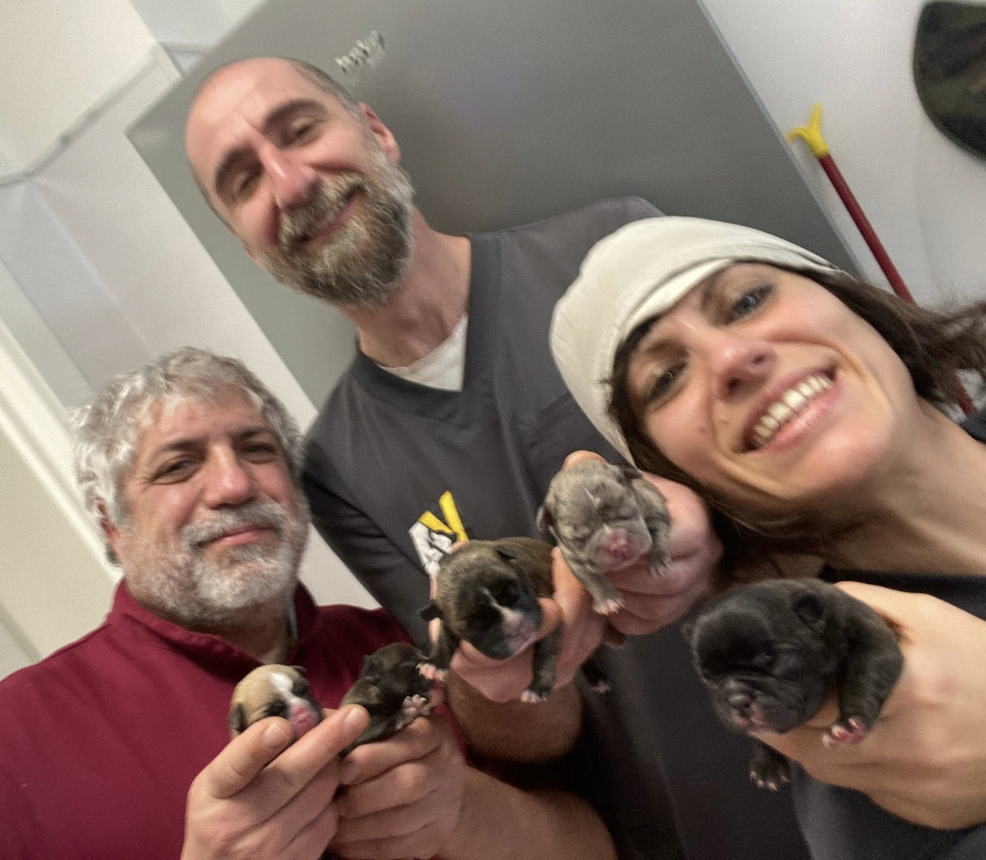 Veterinari esperti in Sardegna
