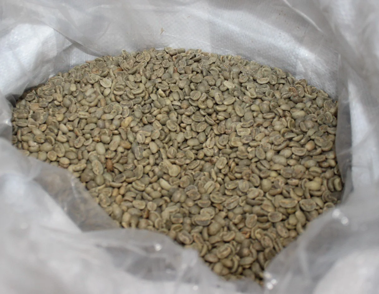 Green unroasted coffee beans in a sack.