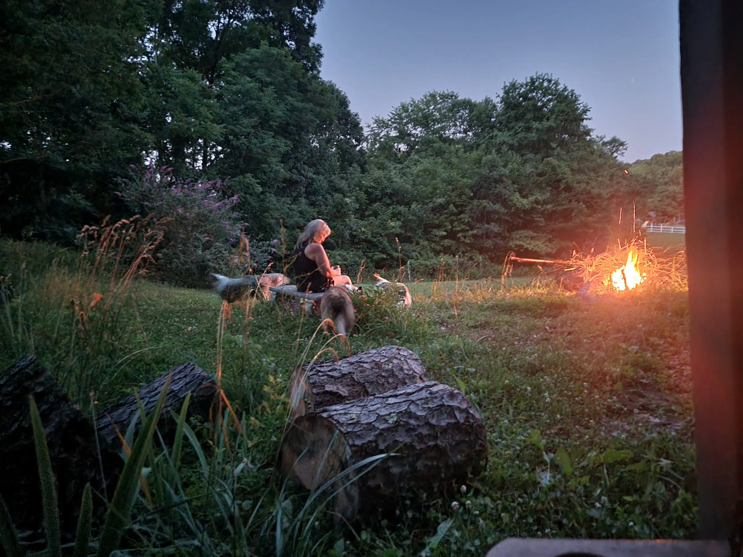 A woman sitting outdoors near a campfire at dusk, surrounded by trees, tall grass, and her dogs.