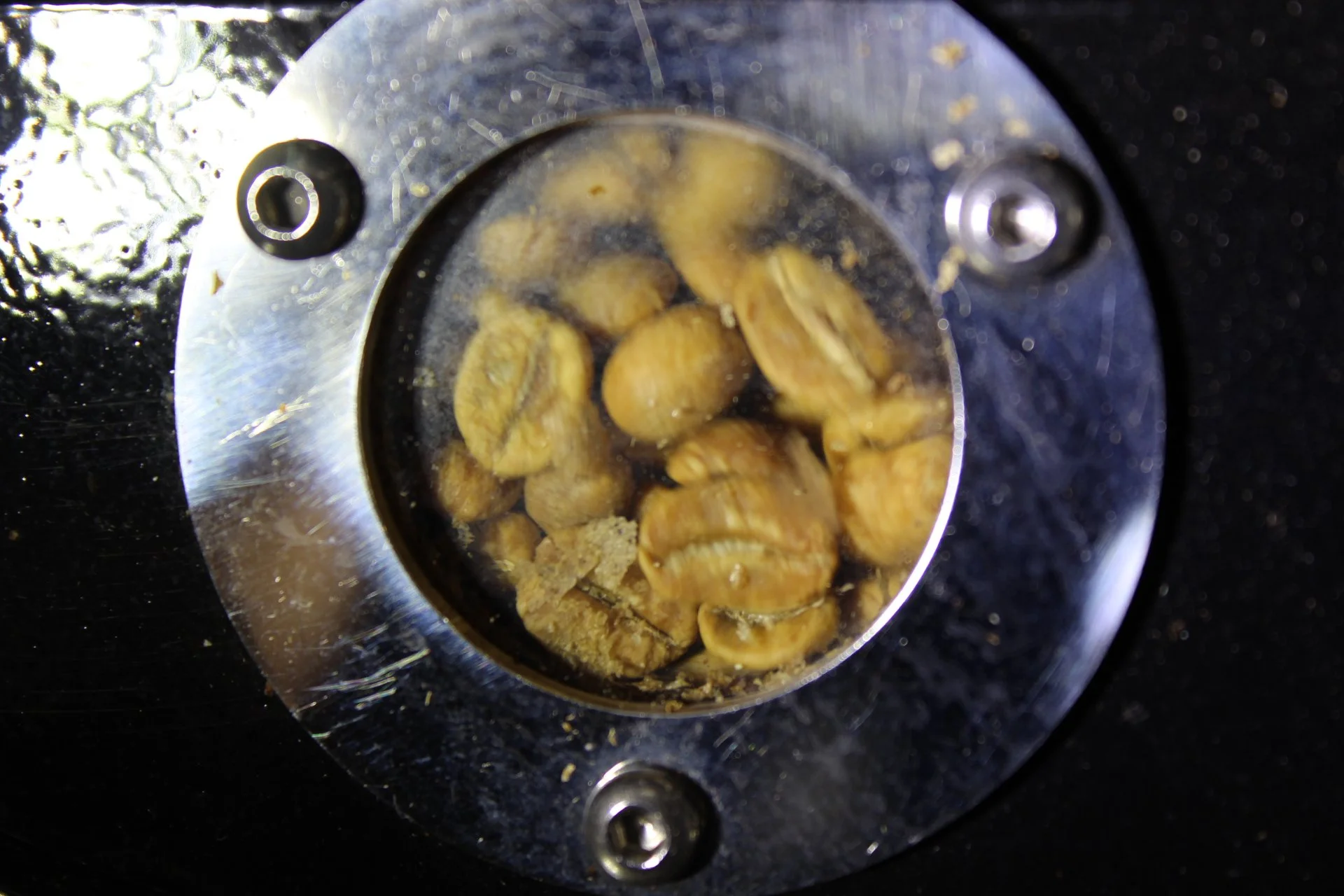 The window into a drum coffee roaster where the browning coffee beans can be visualised.