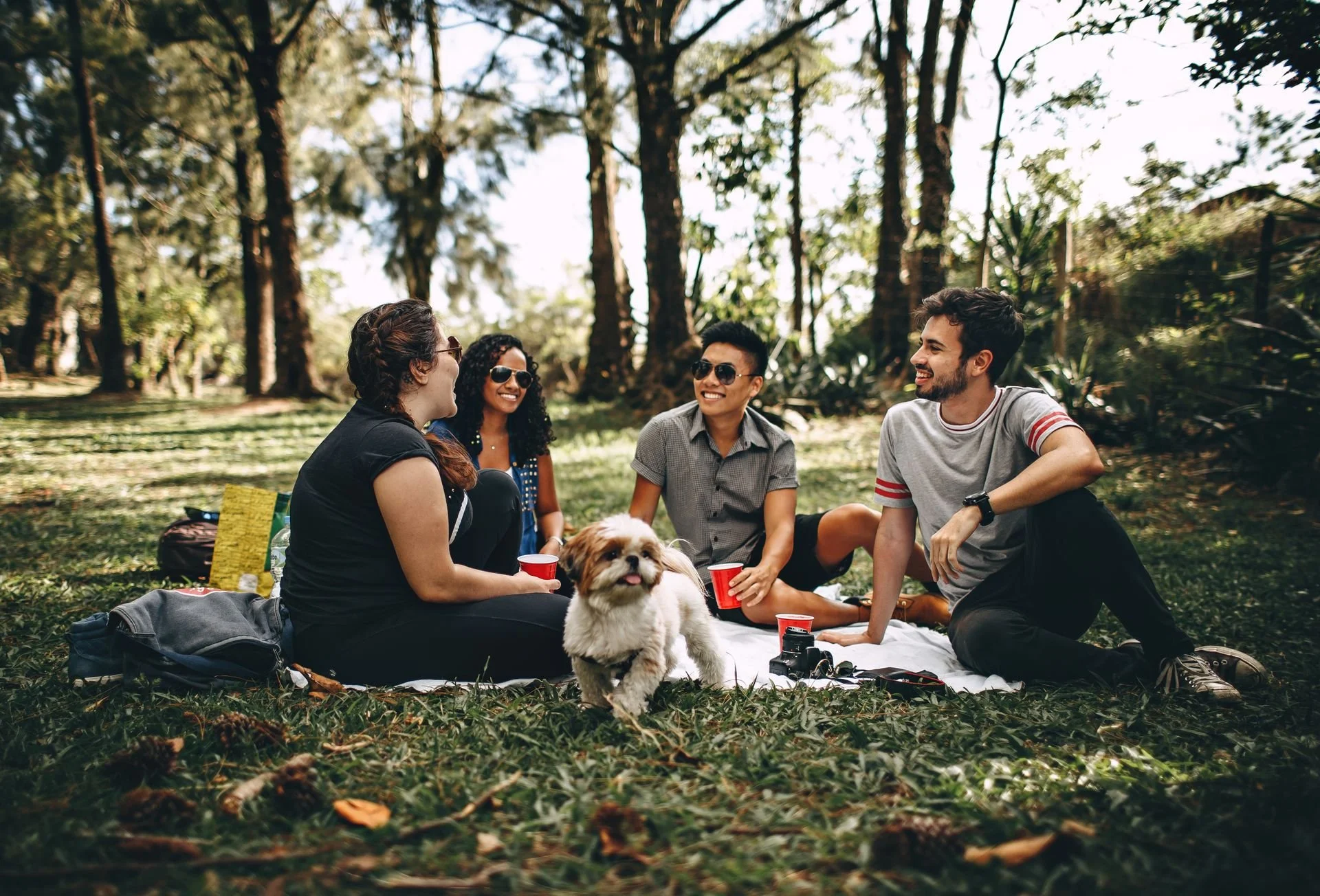 ESFJ men and women socializing in a park