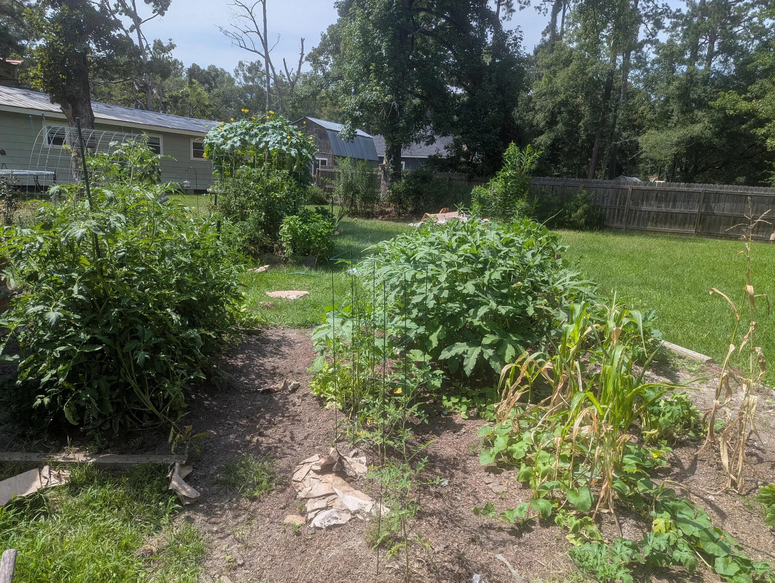 PXL_20250716_200620557.jpg