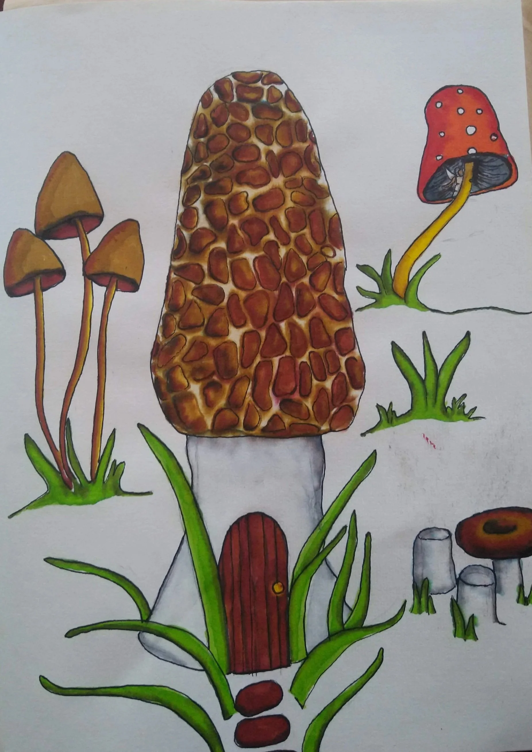 Mushroom 4
Alcohol markers on paper
8"x11"
2024