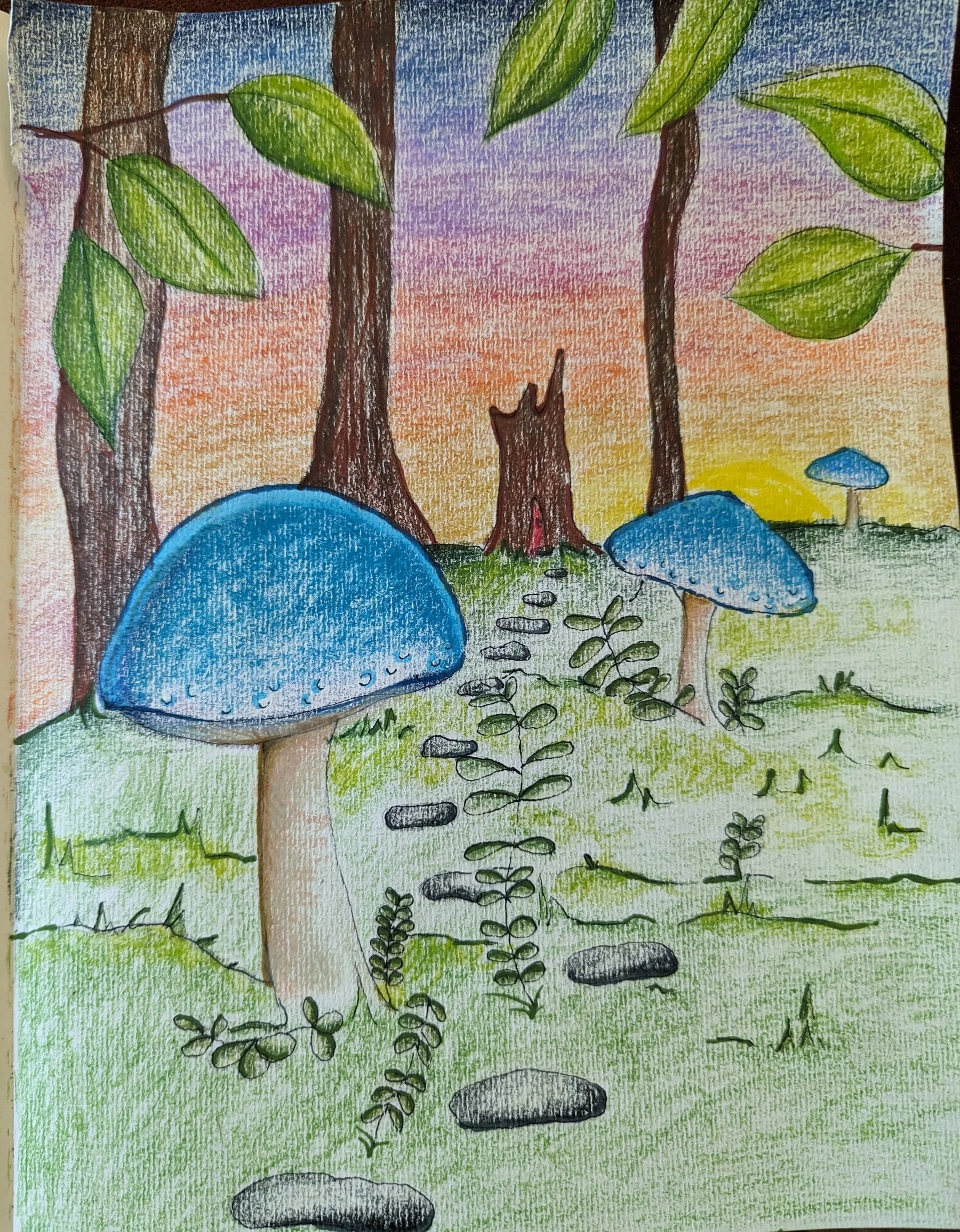 Mushroom  1
Colored pencil on paper
8"x11"
2024