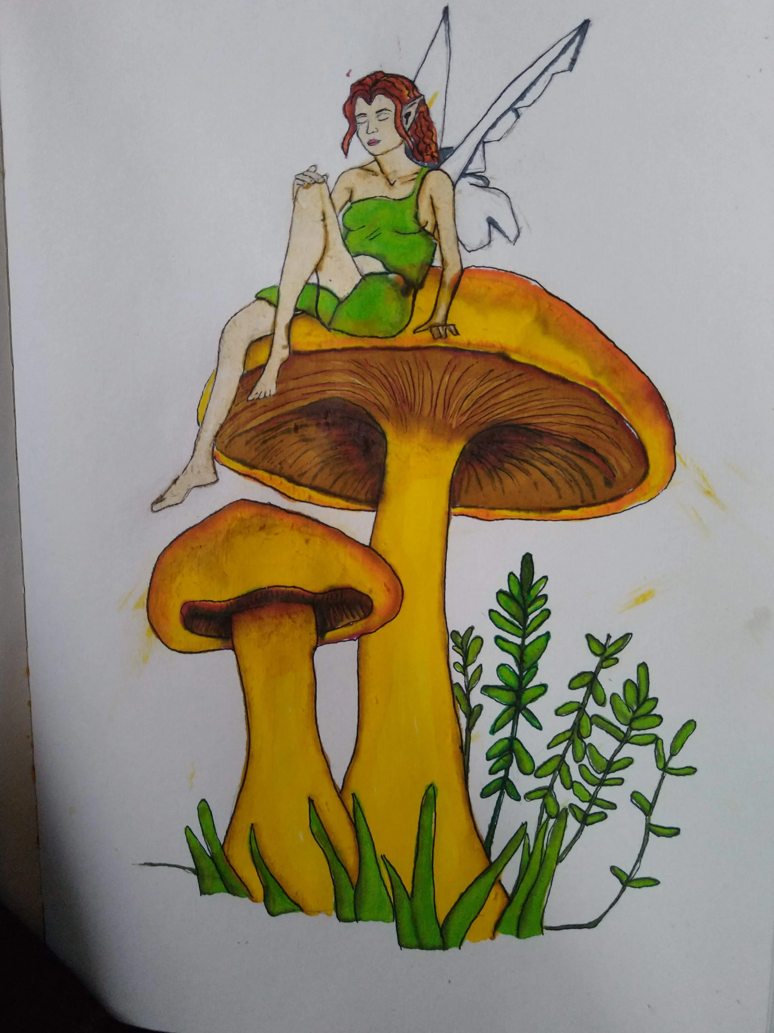 Mushroom 2
Alcohol markers on paper
8"x11"
2024
