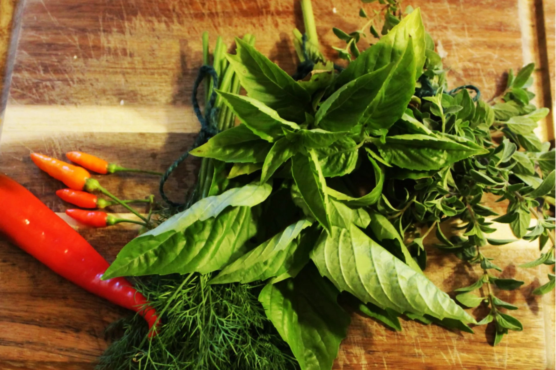herbs.jpg