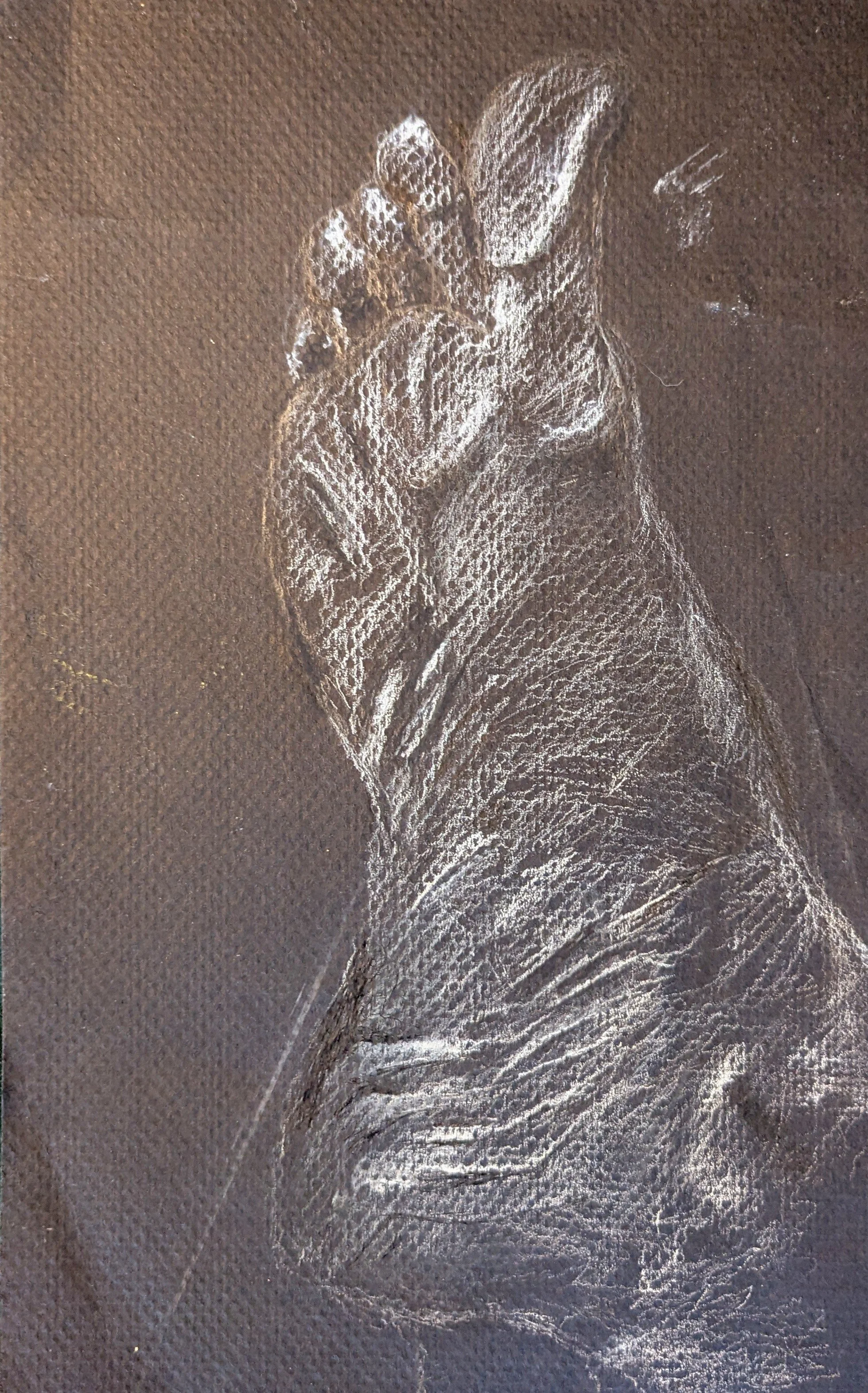 Foot Study in Lines
Charcoal on paper
7"x10"
2012