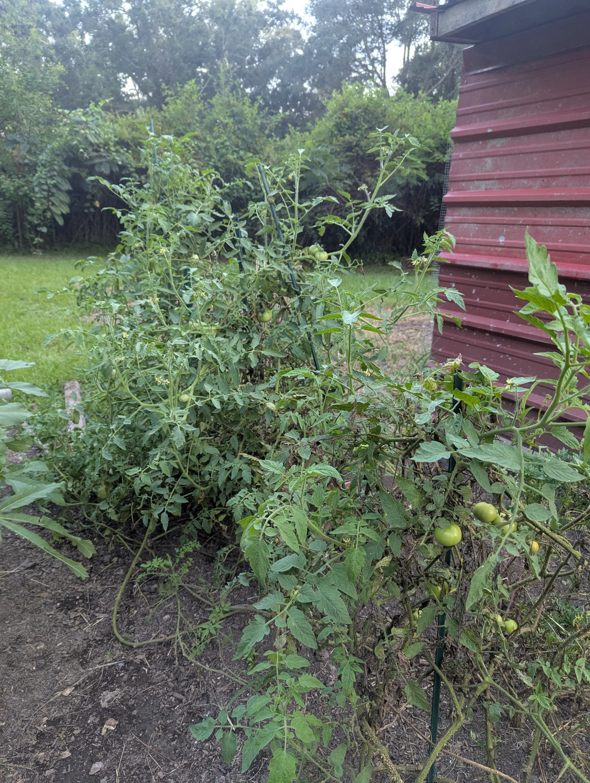 PXL_20250817_000721495.jpg