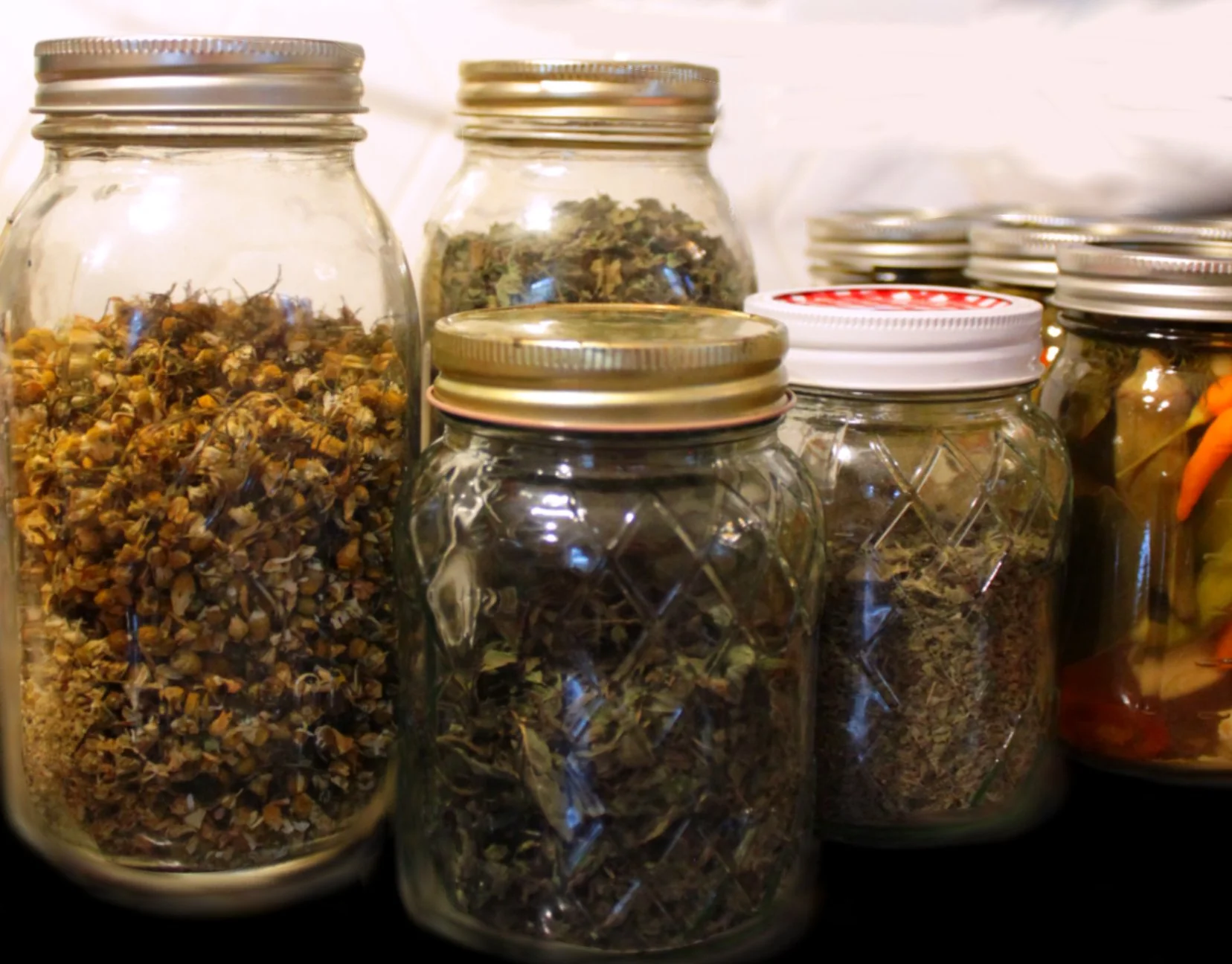 dried teas.jpg
