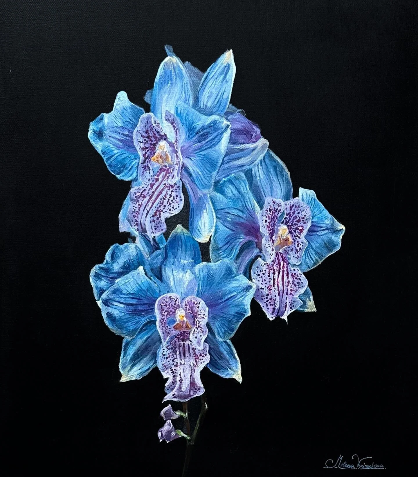 Orchids