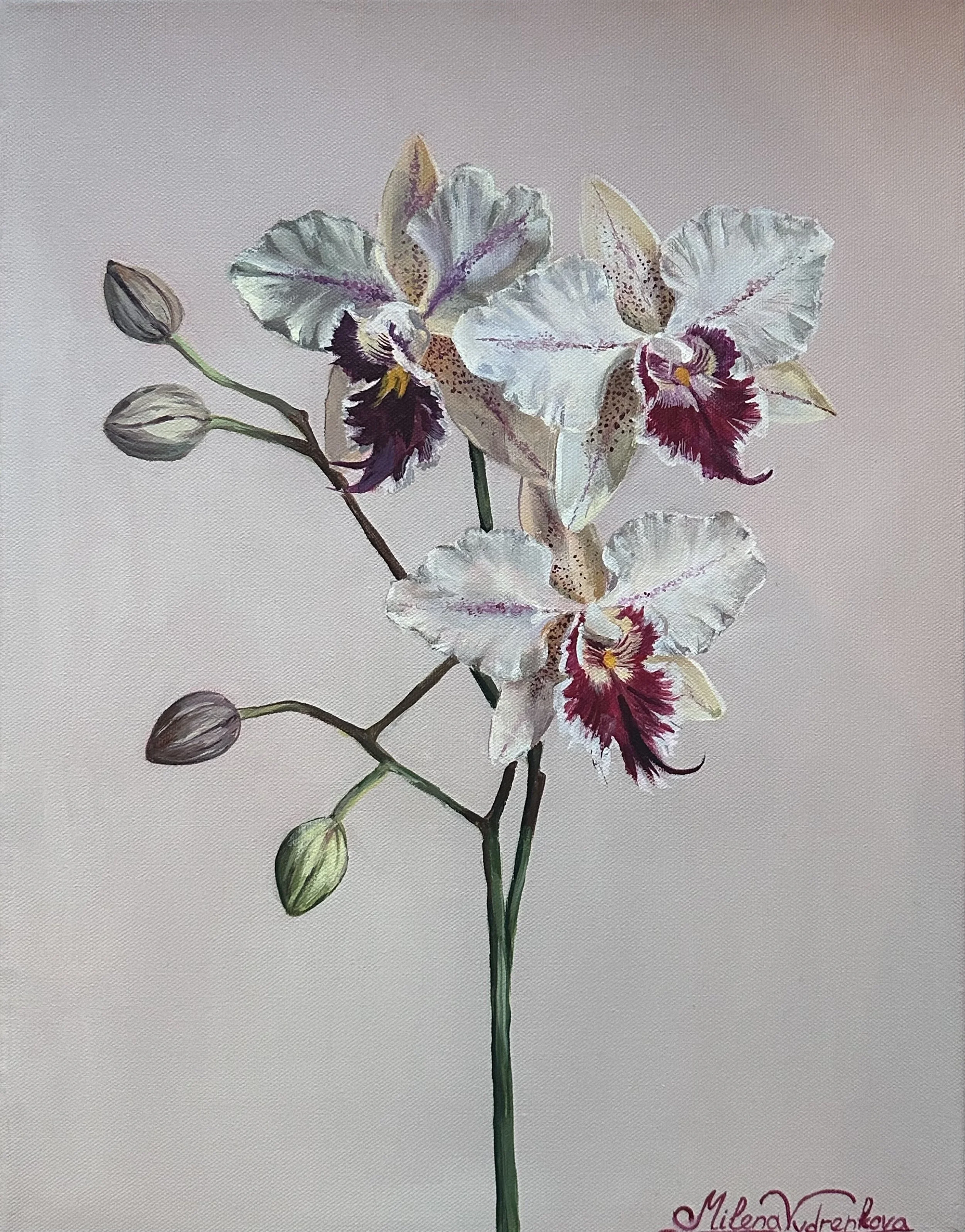 White Orchids