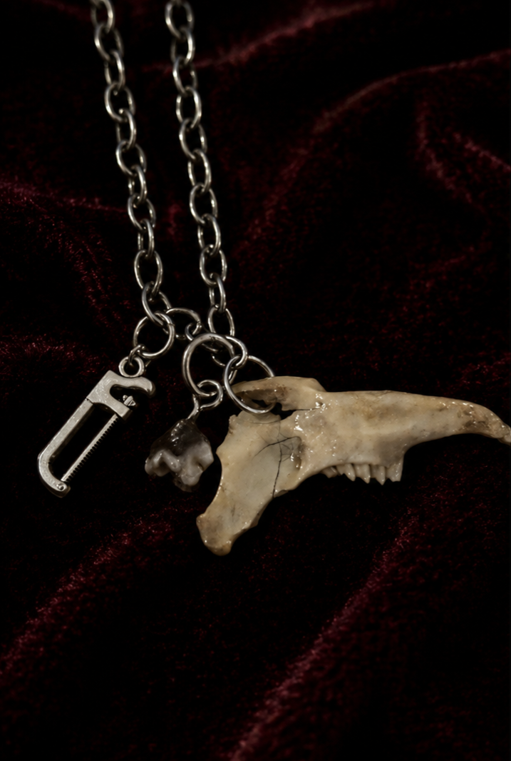 Mink Jaw, Ethically Sourced Canine Tooth and Saw Charm Necklace