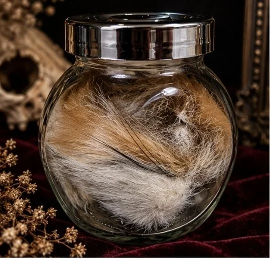 Fox Whiskers
