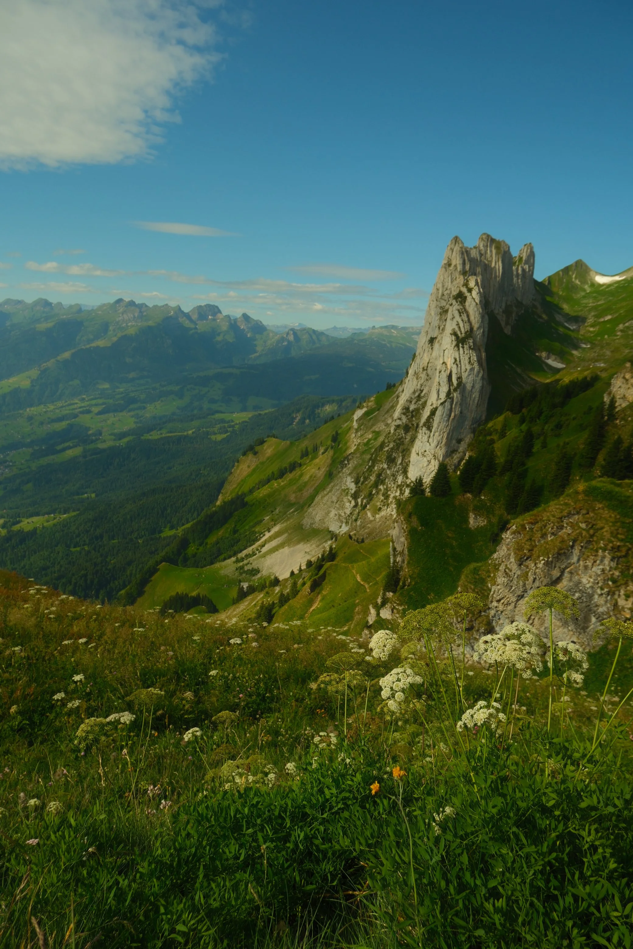 DSCF9496.jpg