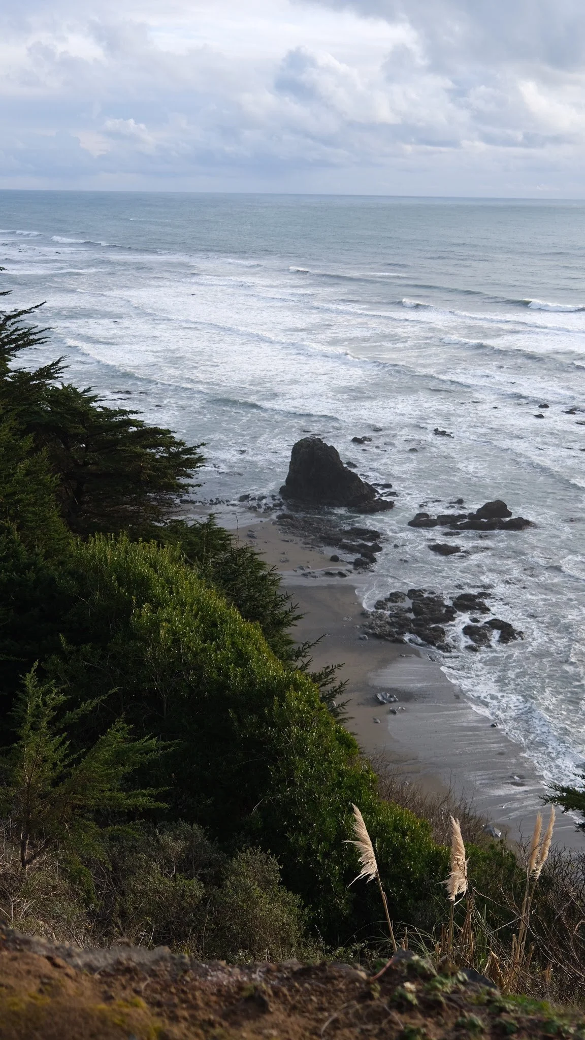 DSCF9004.jpg